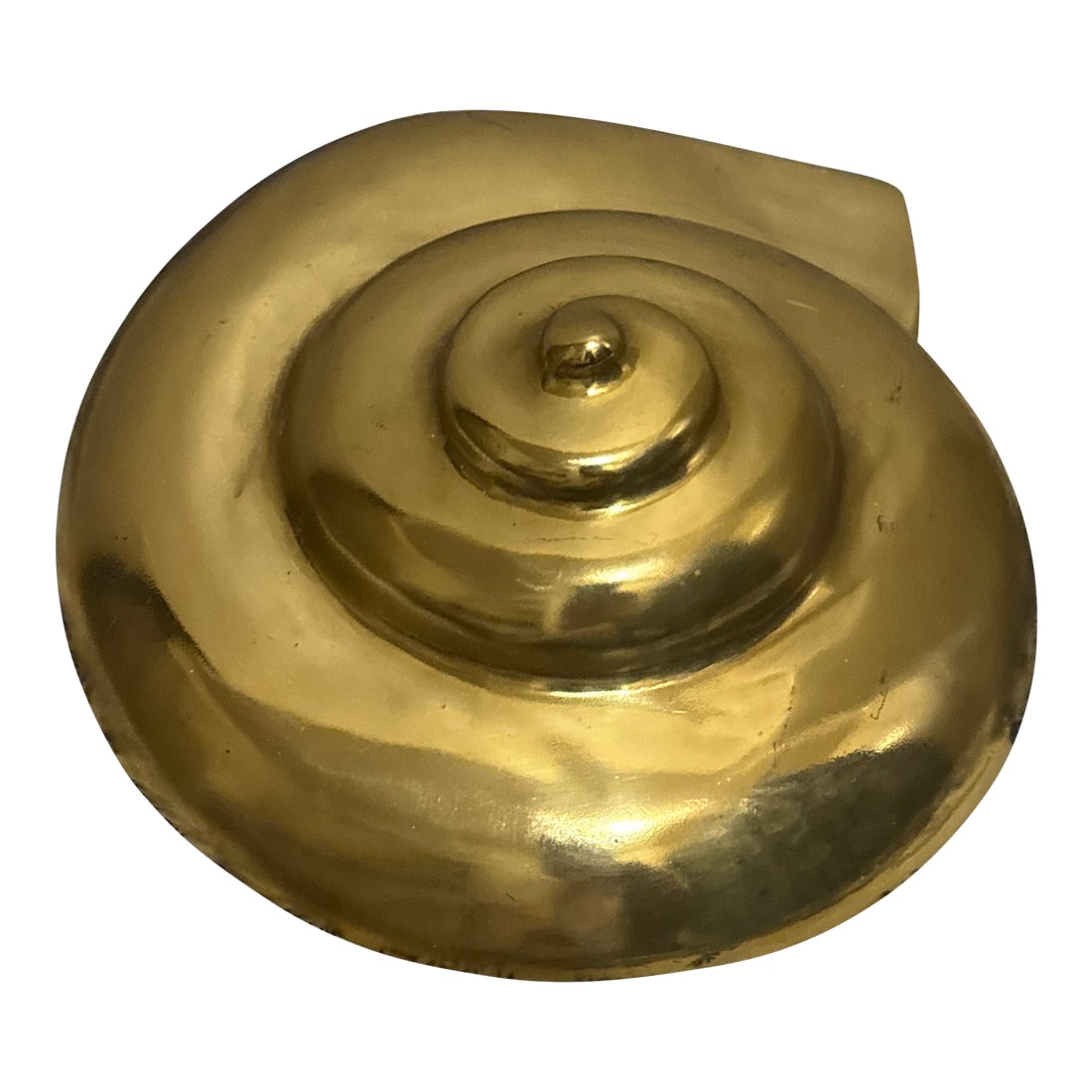 Solid Brass Ammonite Wall Decor: Add a distinctive accent to your home with this Solid Brass Ammonite Wall Decor. Inspired by the natural spiral form of an ammonite, this piece features detailed craftsmanship that highlights its