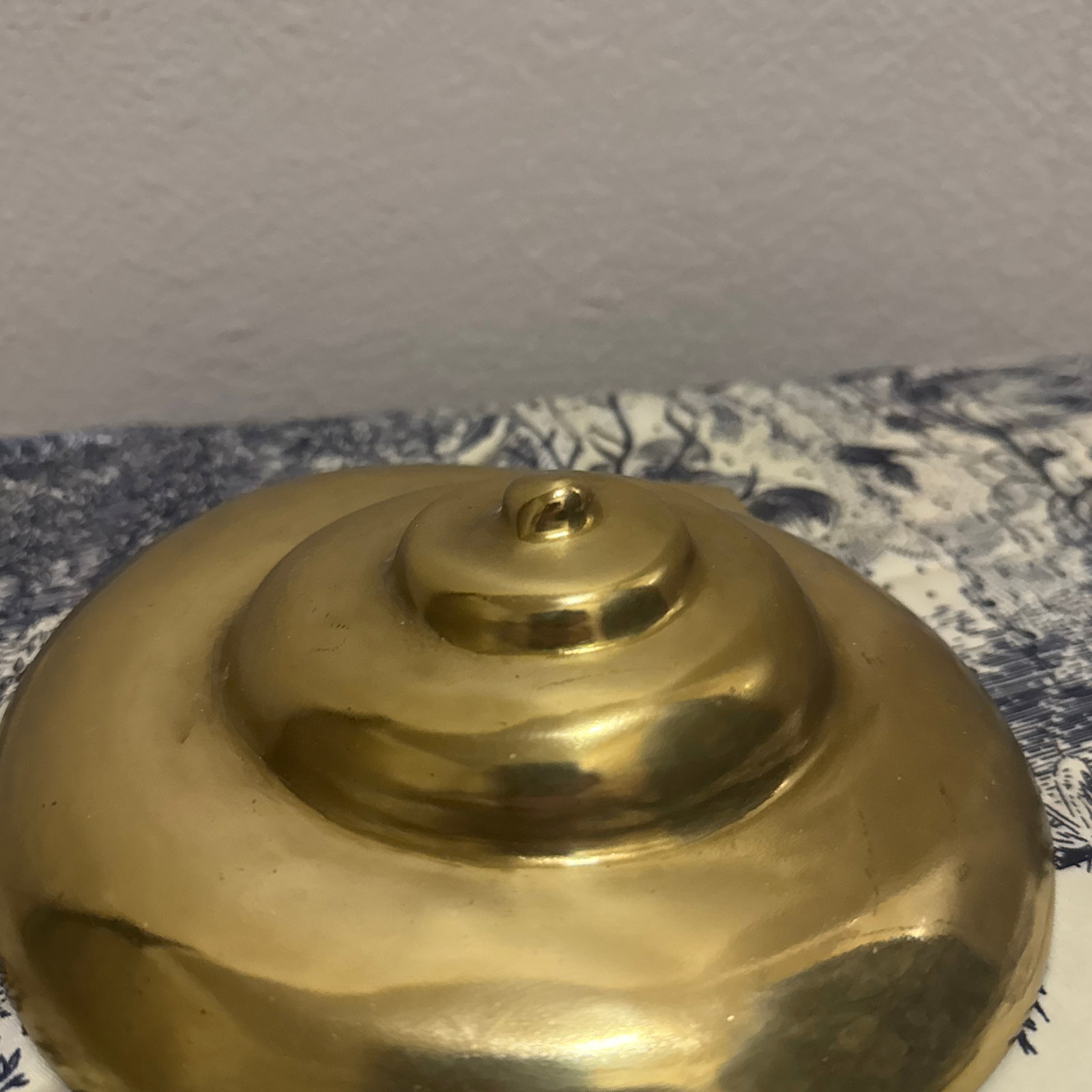 Solid Brass Ammonite Wall Decor - 2