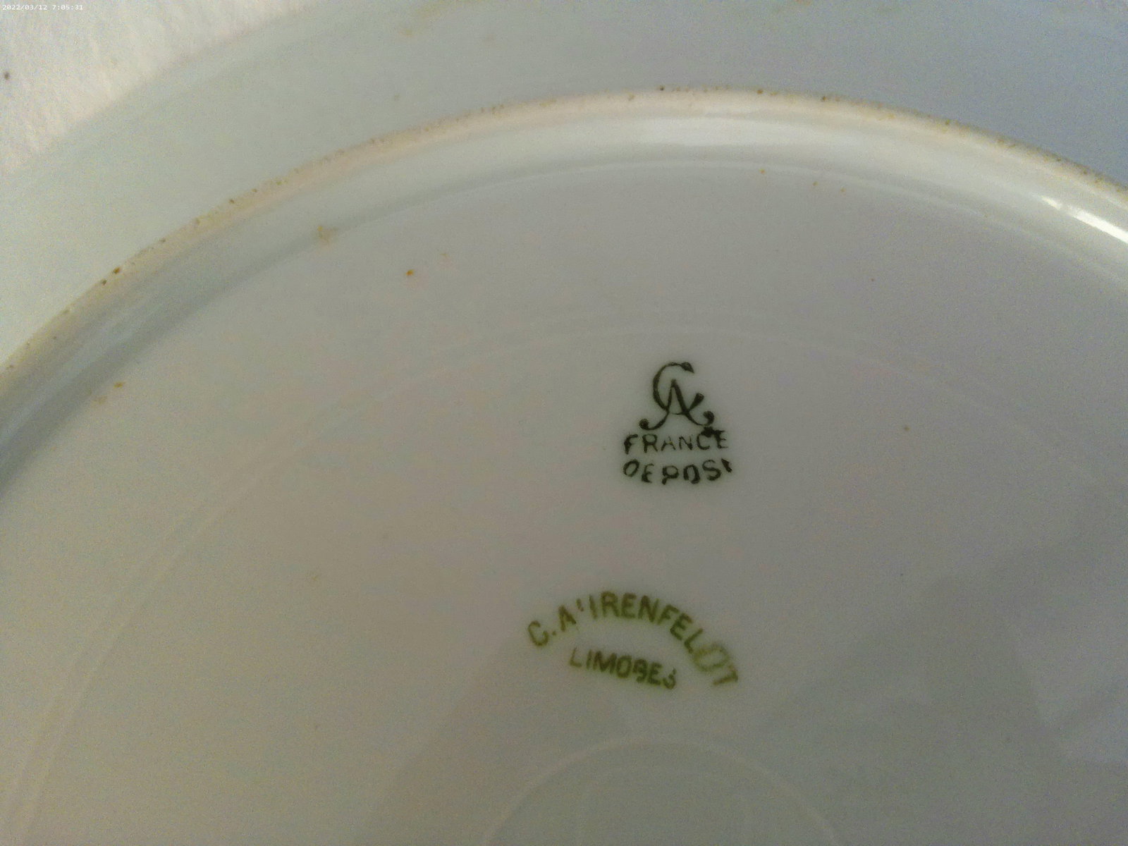 Vintage Matched Victorian Design Floral Porcelain Dinner Plates, Set of 6 - 7