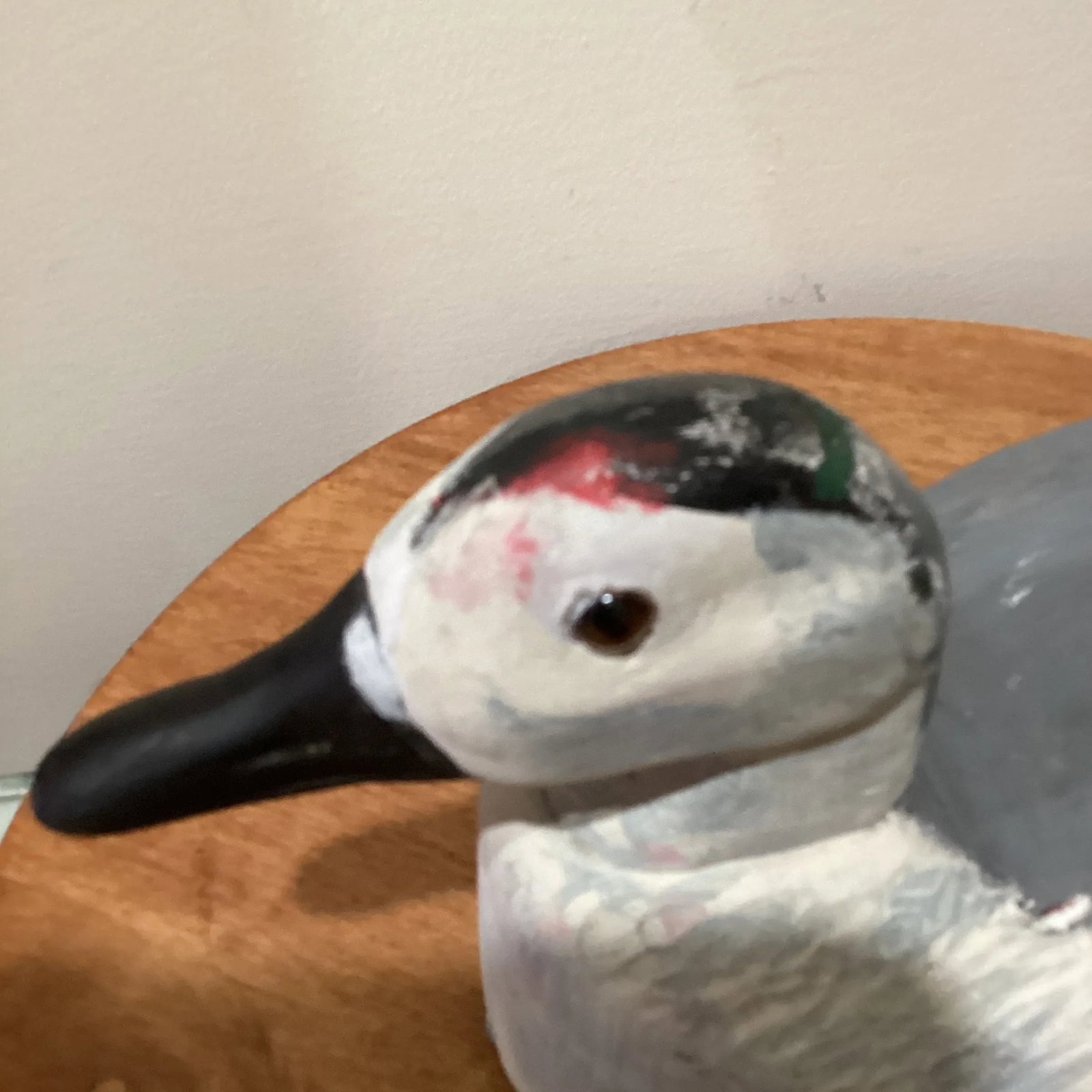 Vintage Handcrafted Wild Fowler Seagull Confidence Decoy With Glass Eyes - 5