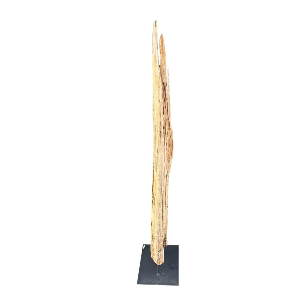 Antique Driftwood On Metal Stand - 2