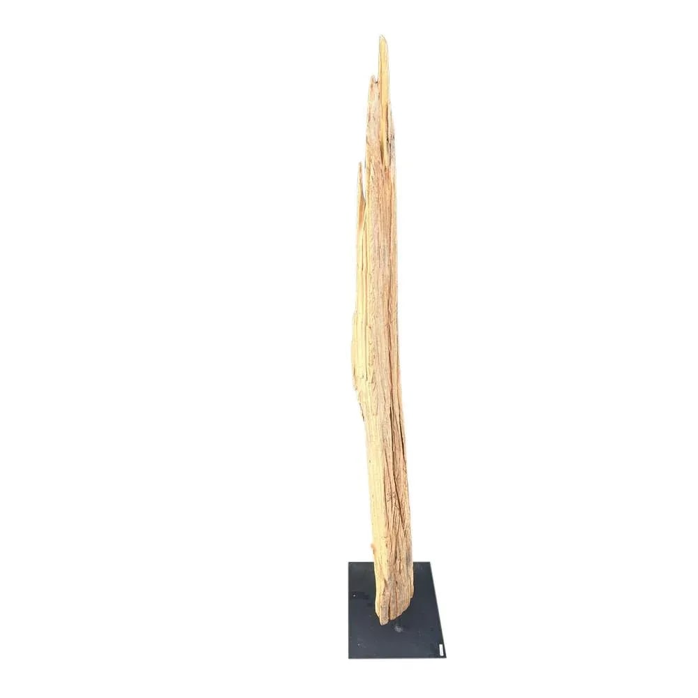 Antique Driftwood On Metal Stand - 4