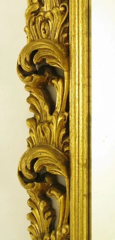 French Regence Style Shell & Acanthus Leaf Mirror - 6