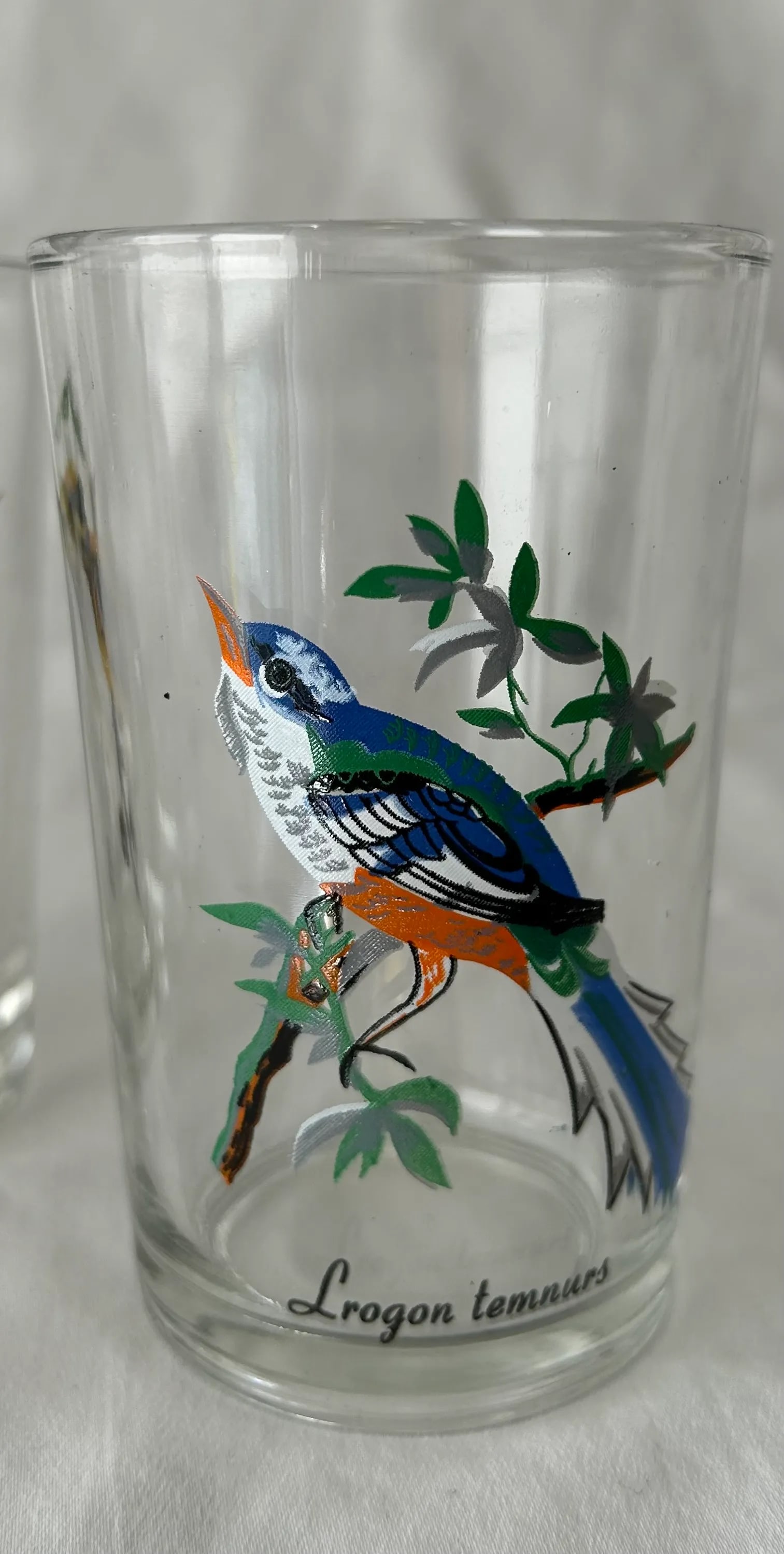 Palm Springs Chic Exotic Bird Juice Glasses- Set of 4 - 2