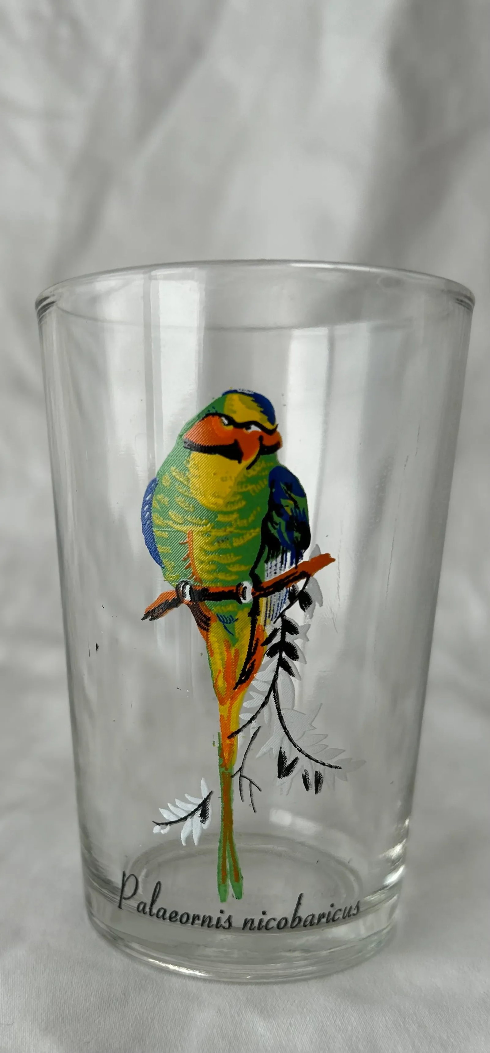 Palm Springs Chic Exotic Bird Juice Glasses- Set of 4 - 3