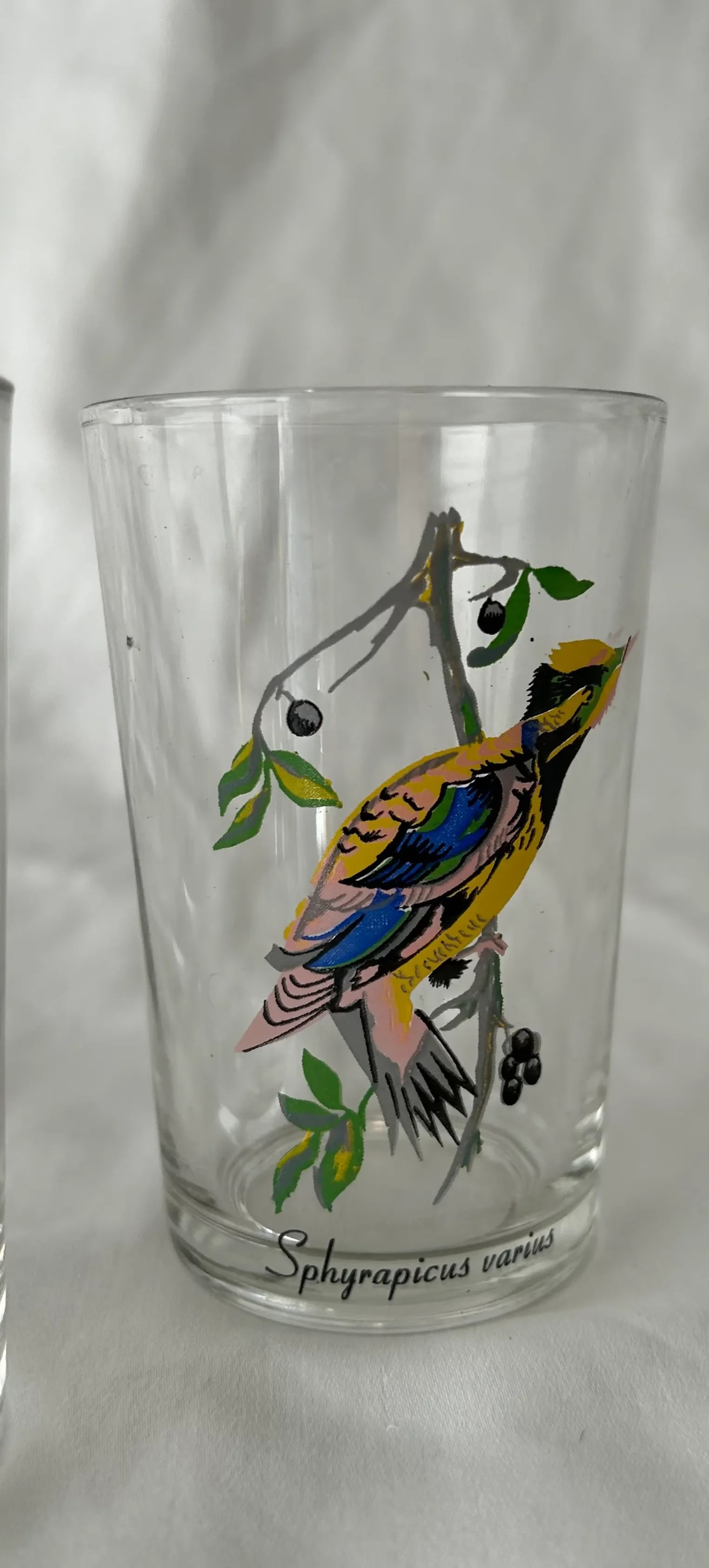 Palm Springs Chic Exotic Bird Juice Glasses- Set of 4 - 4