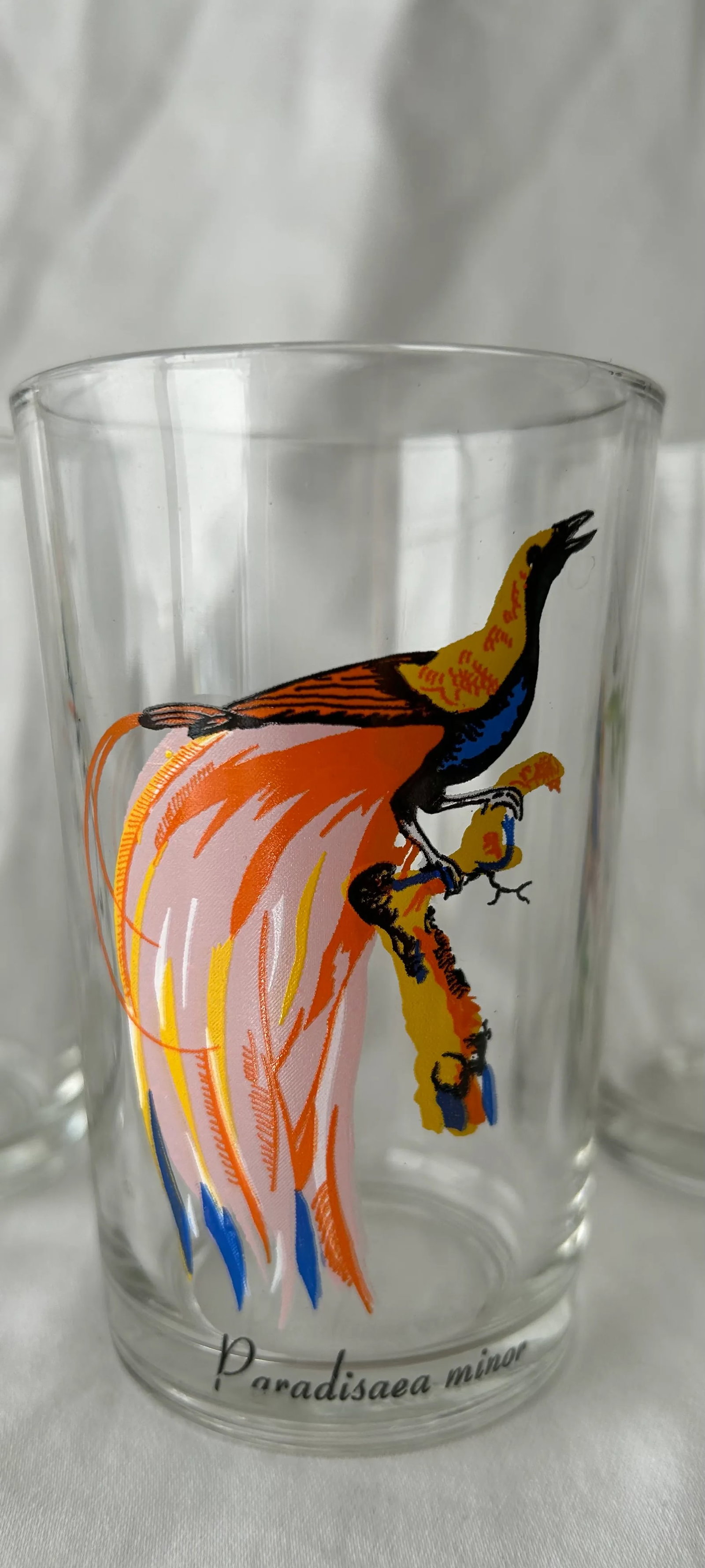 Palm Springs Chic Exotic Bird Juice Glasses- Set of 4 - 5
