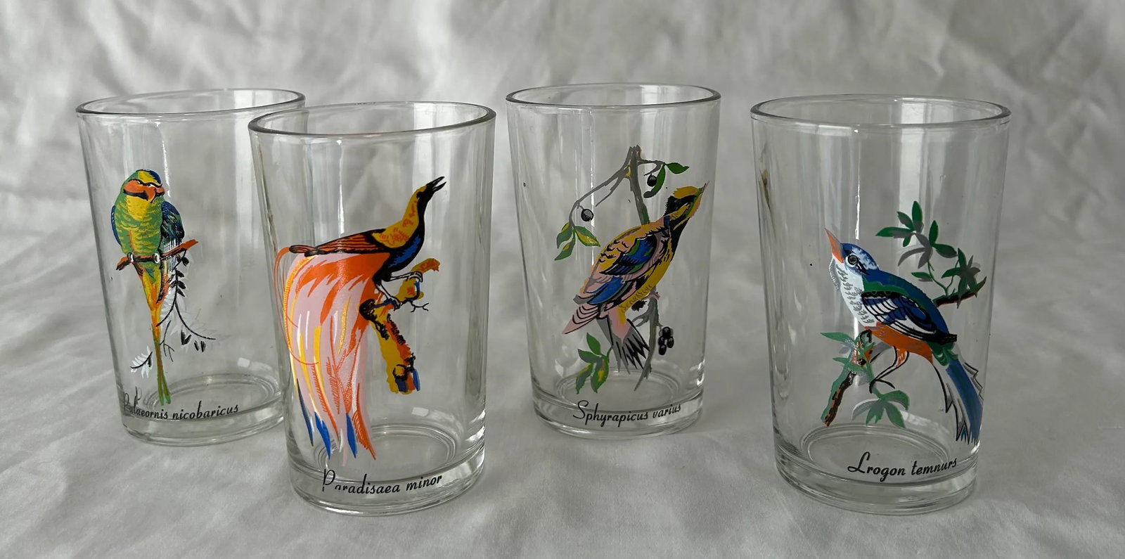 Palm Springs Chic Exotic Bird Juice Glasses- Set of 4 - 8
