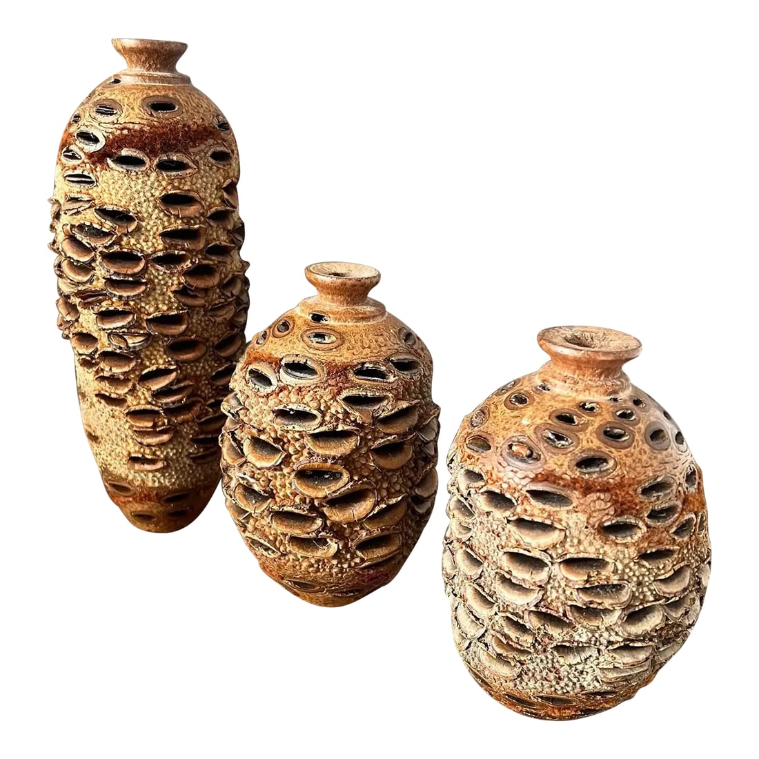 Vintage Organic Banksia Seed Vases- Set of 3: These unique vases are in excellent condition. They made from a Banksia seed pod. The Banksia tree originated in Australia. Hand turned on a wood lathe. They can be a unique and organic touch in your