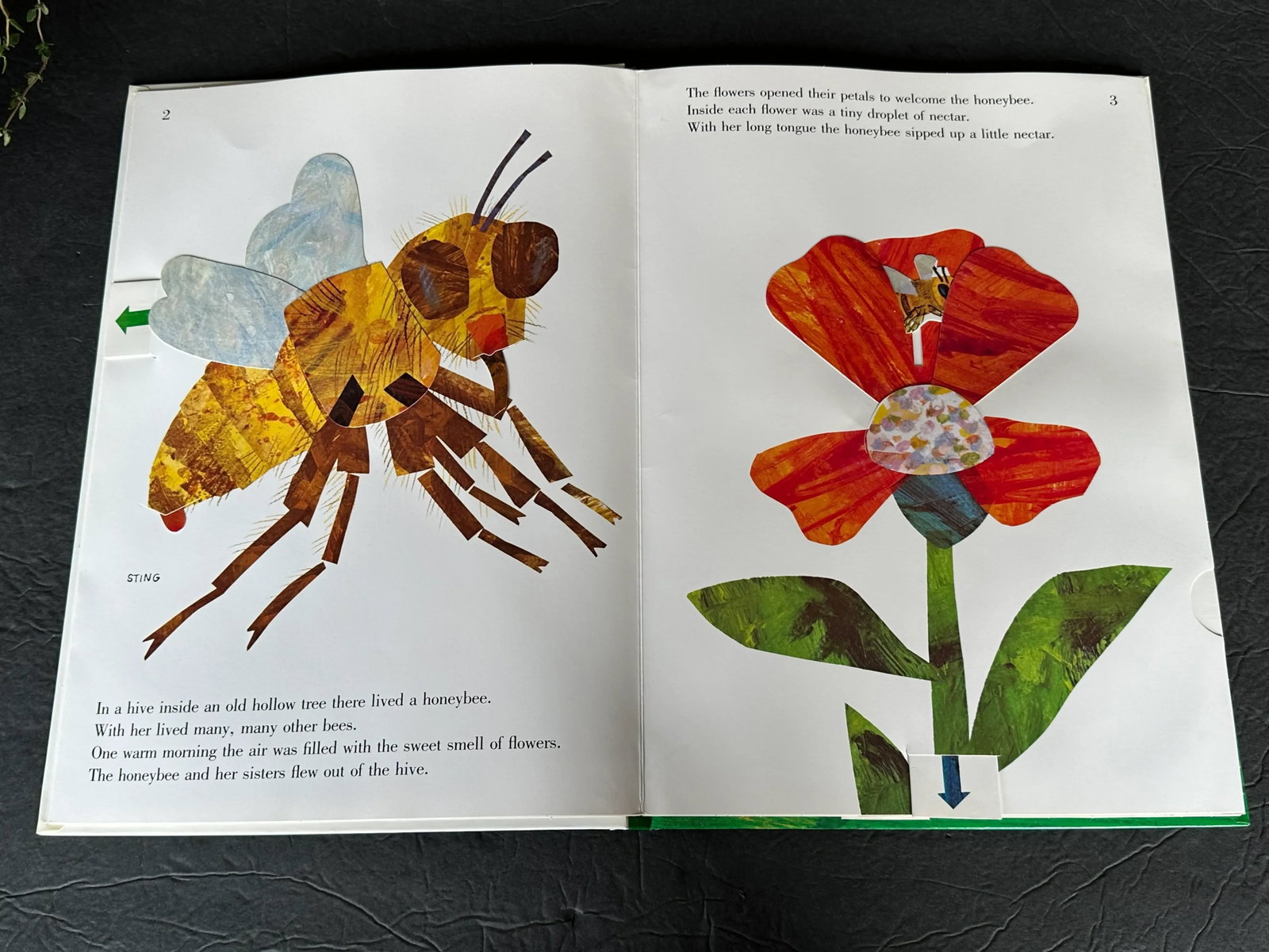 Signed Eric Carle Pop Up Children's Book - 6