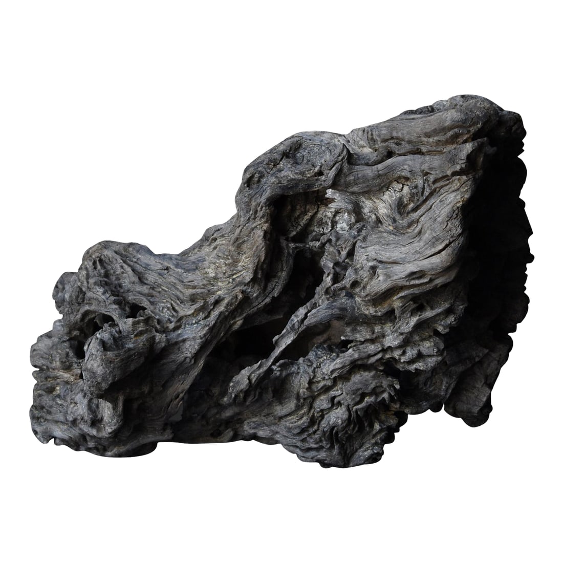 Antique Large Japanese Old Organic Wood Decorative Root Sculpture Object Display Art Natural Wabi Sa: Very beautiful antique wooden natural formation from Japan. Wood unknown, it is very heavy and tone is a dark muted brown with hints of grey. Exact age unknown but estimated 1700s-1900s. The natural