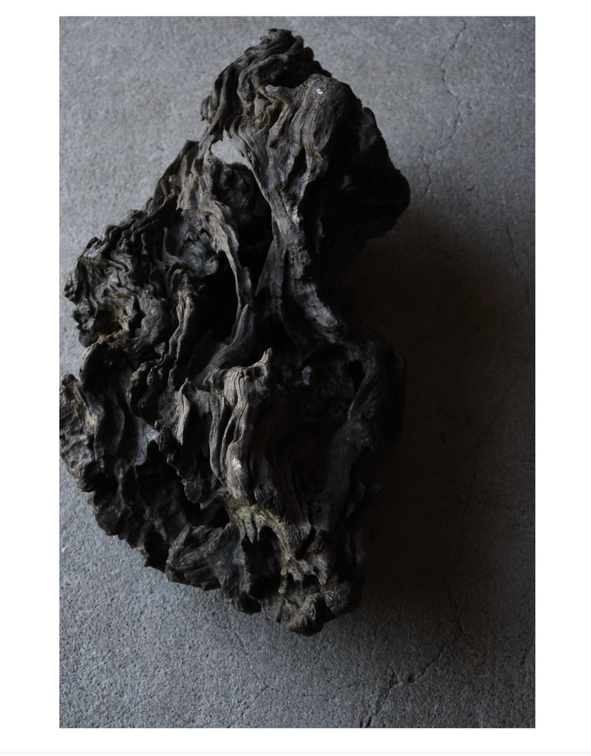 Antique Large Japanese Old Organic Wood Decorative Root Sculpture Object Display Art Natural Wabi Sa - 5