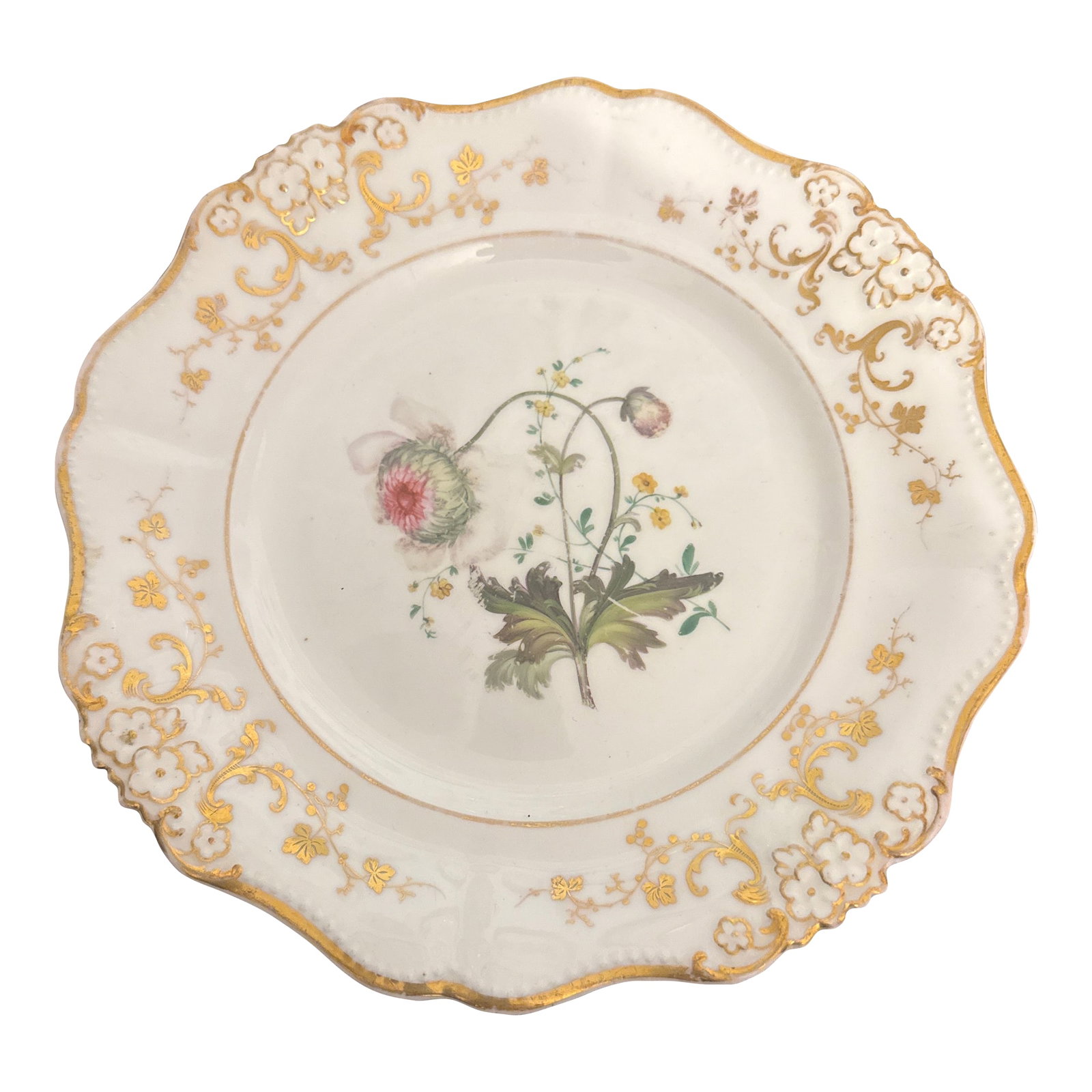 Early 19th Century English Botanical Porcelain Plate: Listing is for an early 19th century cabinet plate with exquisite hand painted flower in full bloom on white ground. The edge border of the plate has raised floral relief and beaded scalloped edge. No