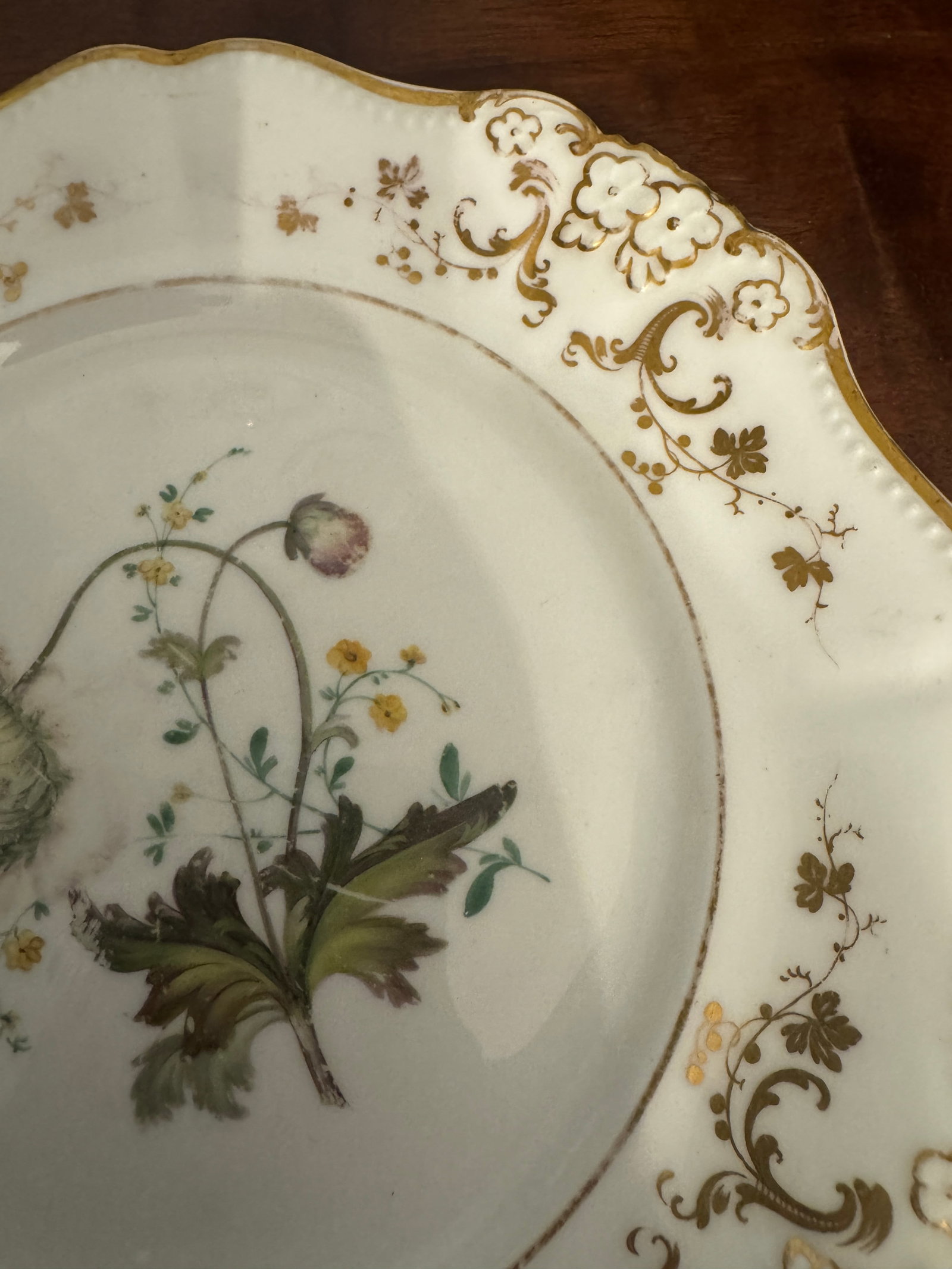 Early 19th Century English Botanical Porcelain Plate - 2