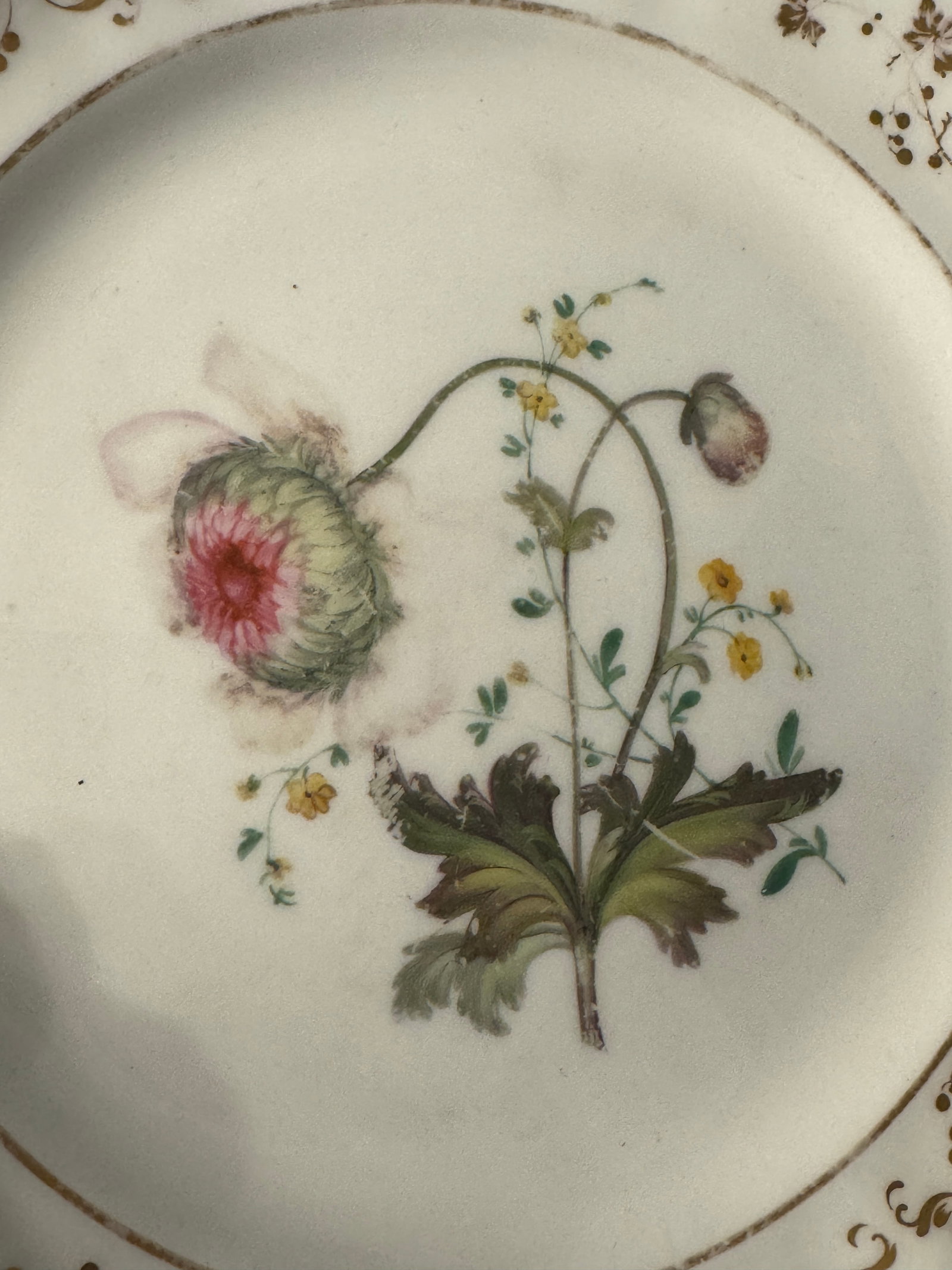 Early 19th Century English Botanical Porcelain Plate - 3