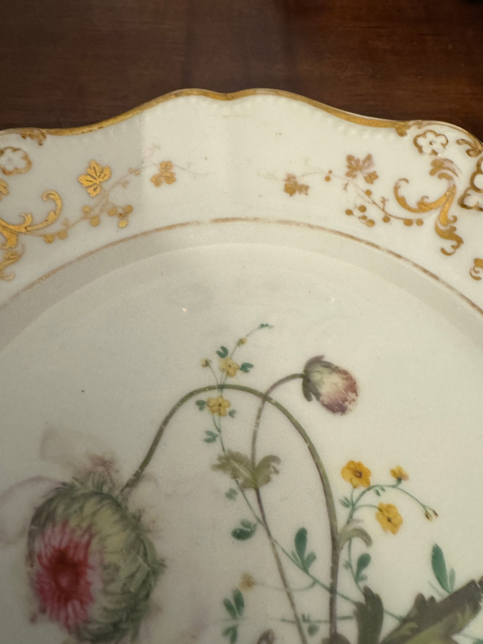 Early 19th Century English Botanical Porcelain Plate - 4