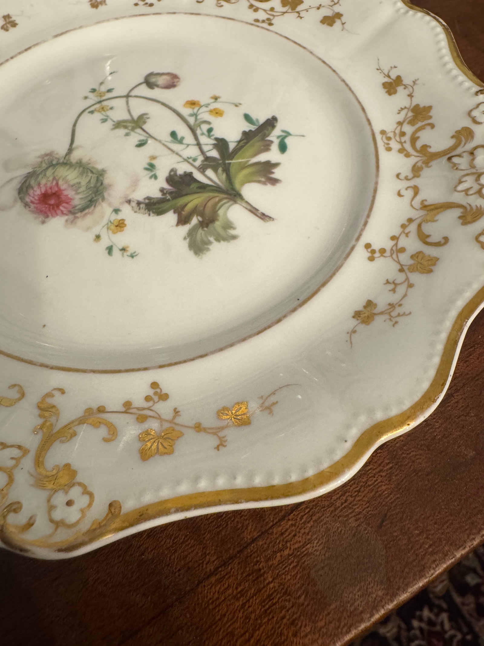 Early 19th Century English Botanical Porcelain Plate - 5