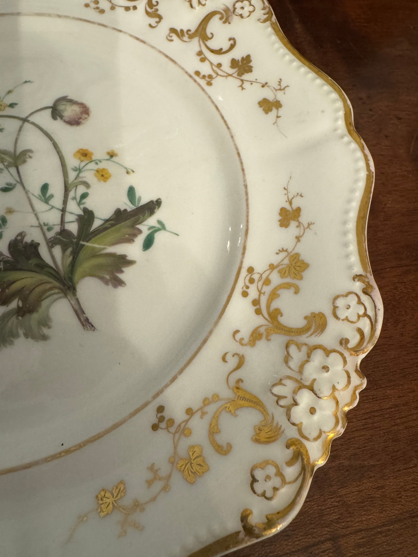 Early 19th Century English Botanical Porcelain Plate - 6