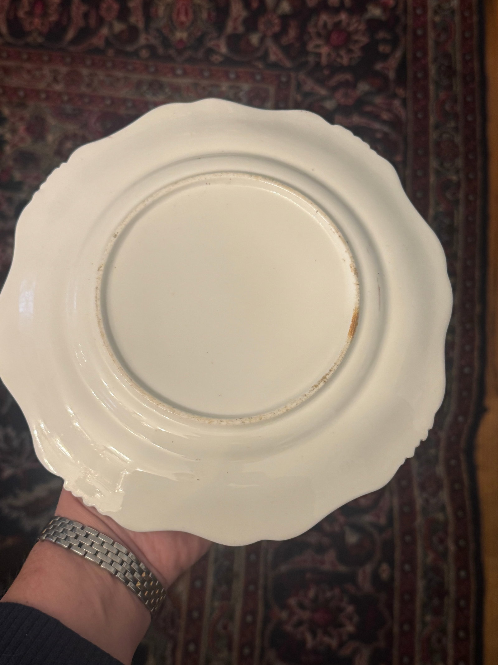 Early 19th Century English Botanical Porcelain Plate - 7