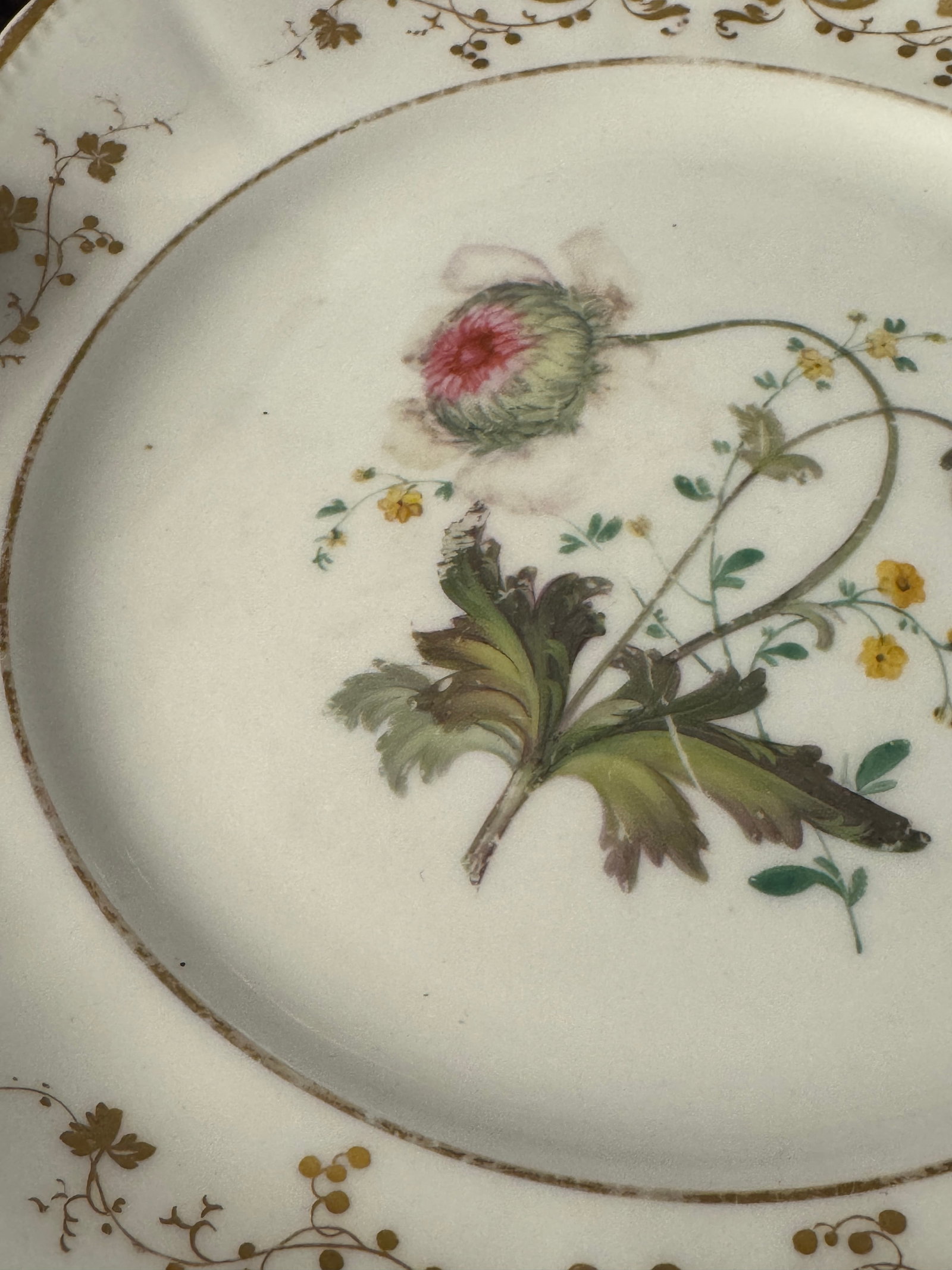 Early 19th Century English Botanical Porcelain Plate - 8