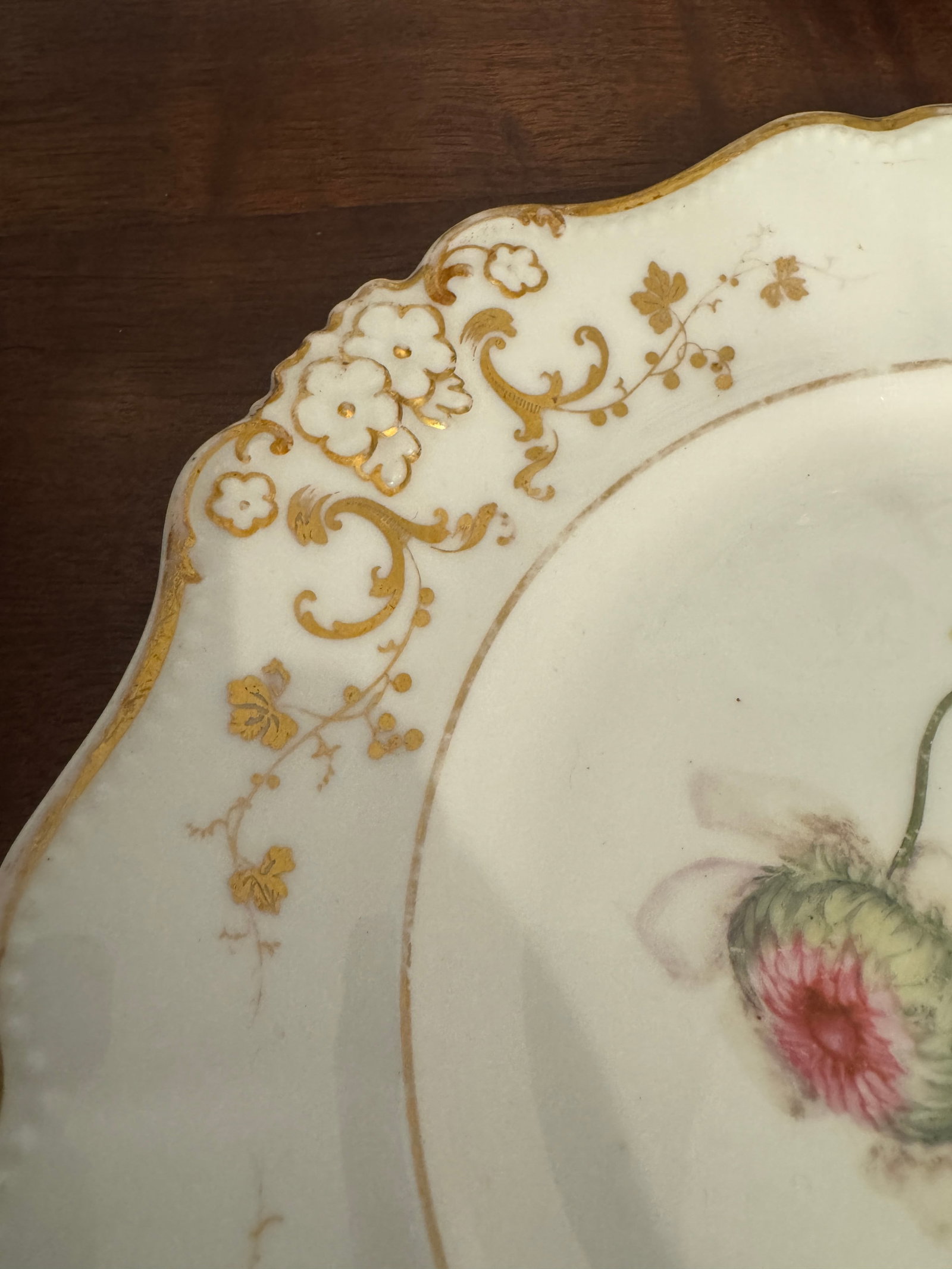 Early 19th Century English Botanical Porcelain Plate - 9