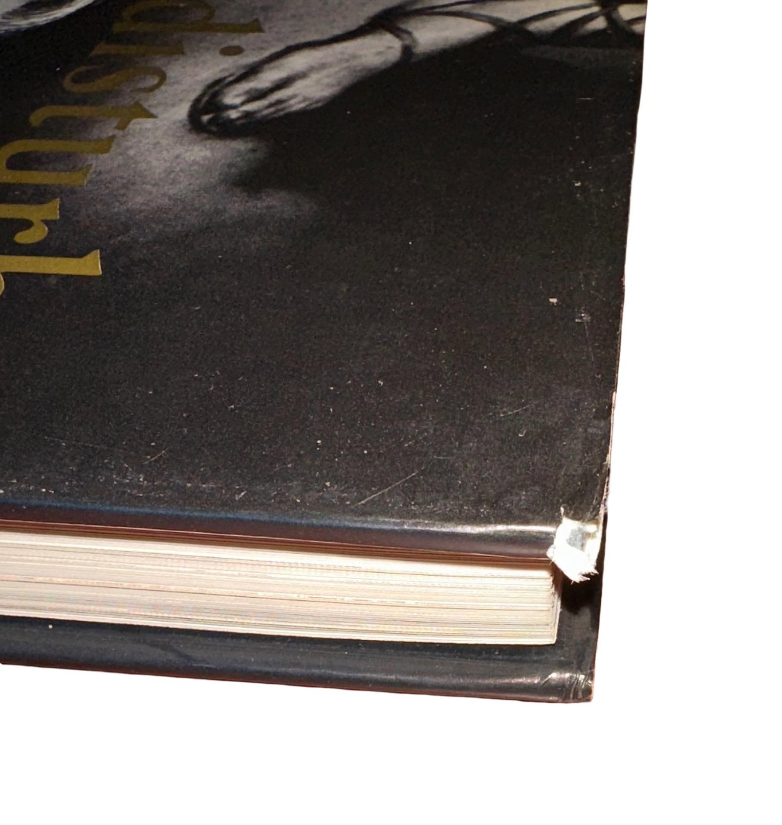 1996 Limited Edition Versace "Do Not Disturb" Book - 9