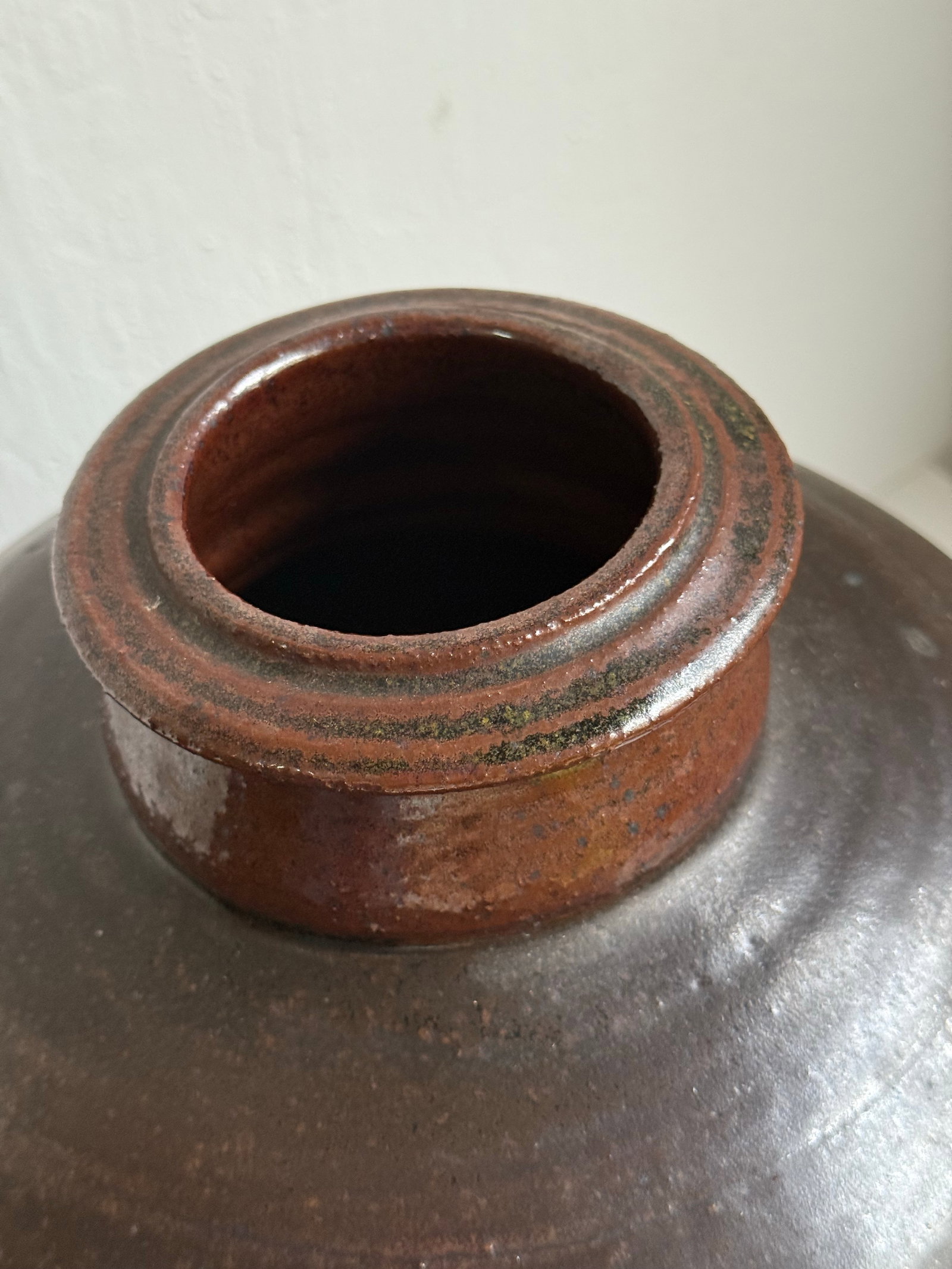 Mid 20th C. Eric Norstad Monumental Studio Pottery Vessel Wax Resist Insect Decoration - 5