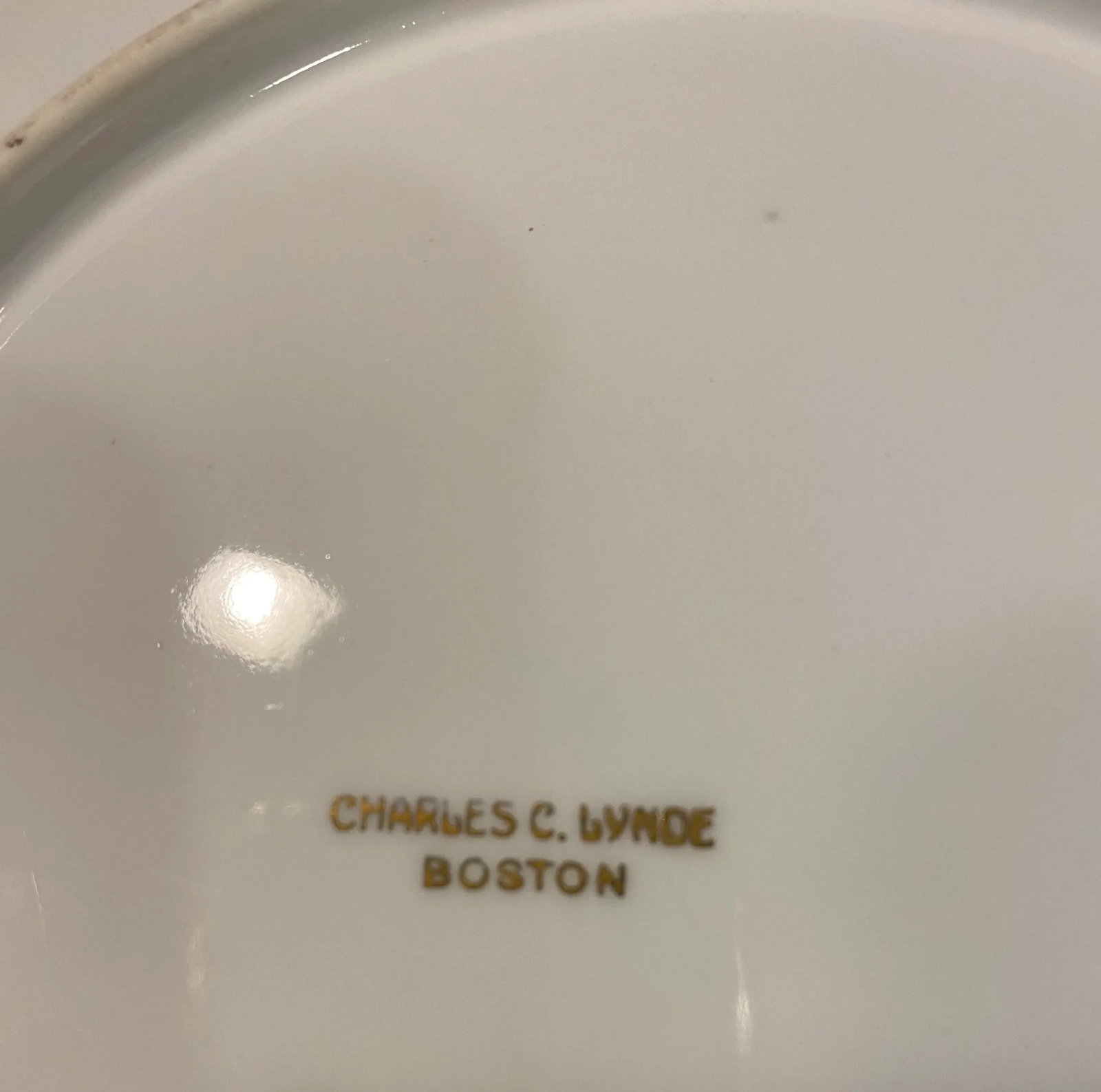 Early 1900's Hand Painted Porcelain Dinner Plates, Set of 4 - 7