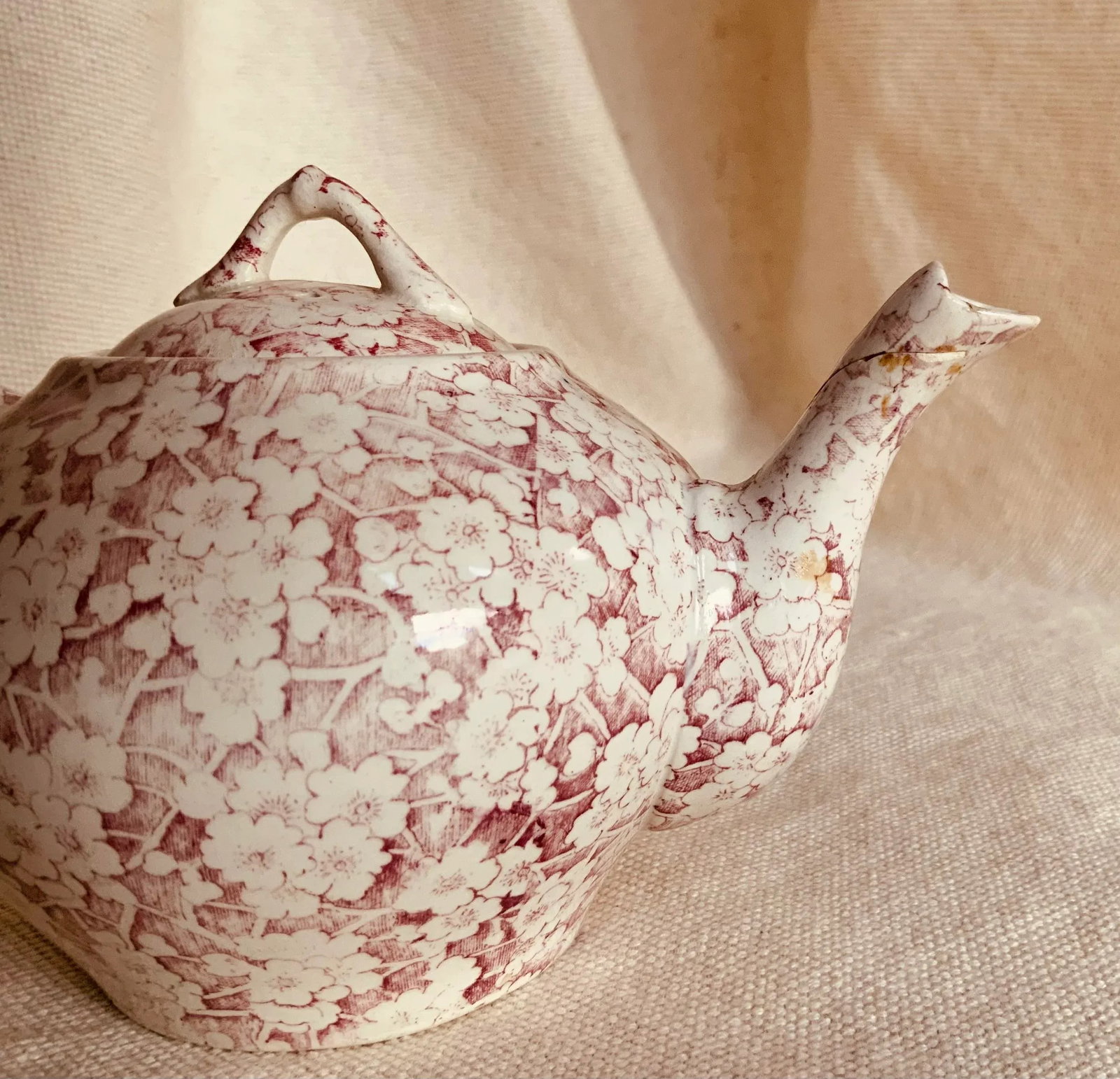 Antique Staffordshire Child's Tea Set, British Anchor Pottery, Apple Blossom Pattern, Circa 1850 - 5