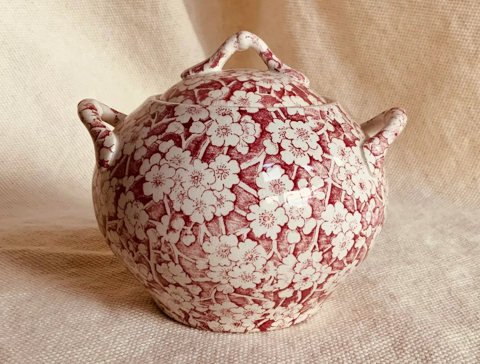Antique Staffordshire Child's Tea Set, British Anchor Pottery, Apple Blossom Pattern, Circa 1850 - 7