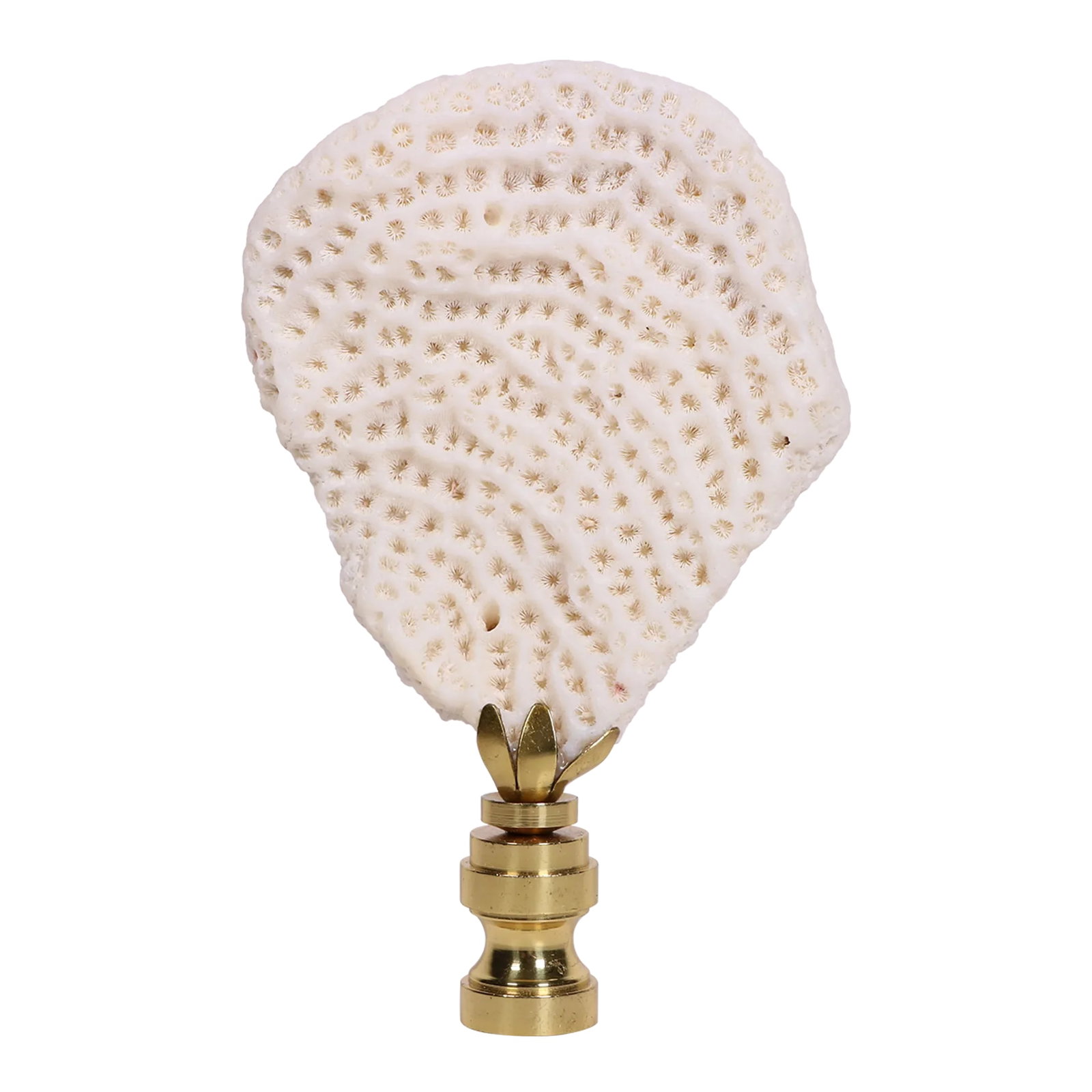 Coral Fragment Lamp Finial on Brass Hardware: Upgrade your existing lighting or add a distinctive finishing touch to any table lamp with a designer lamp finial. Crafted from a surf tumbled coral fragment on a solid brass swivel base. Handmade in 