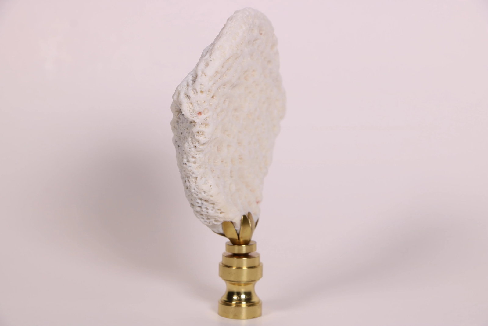 Coral Fragment Lamp Finial on Brass Hardware - 2