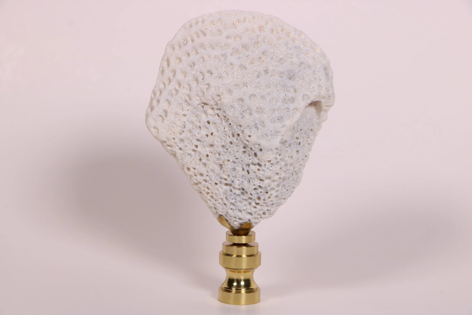 Coral Fragment Lamp Finial on Brass Hardware - 4