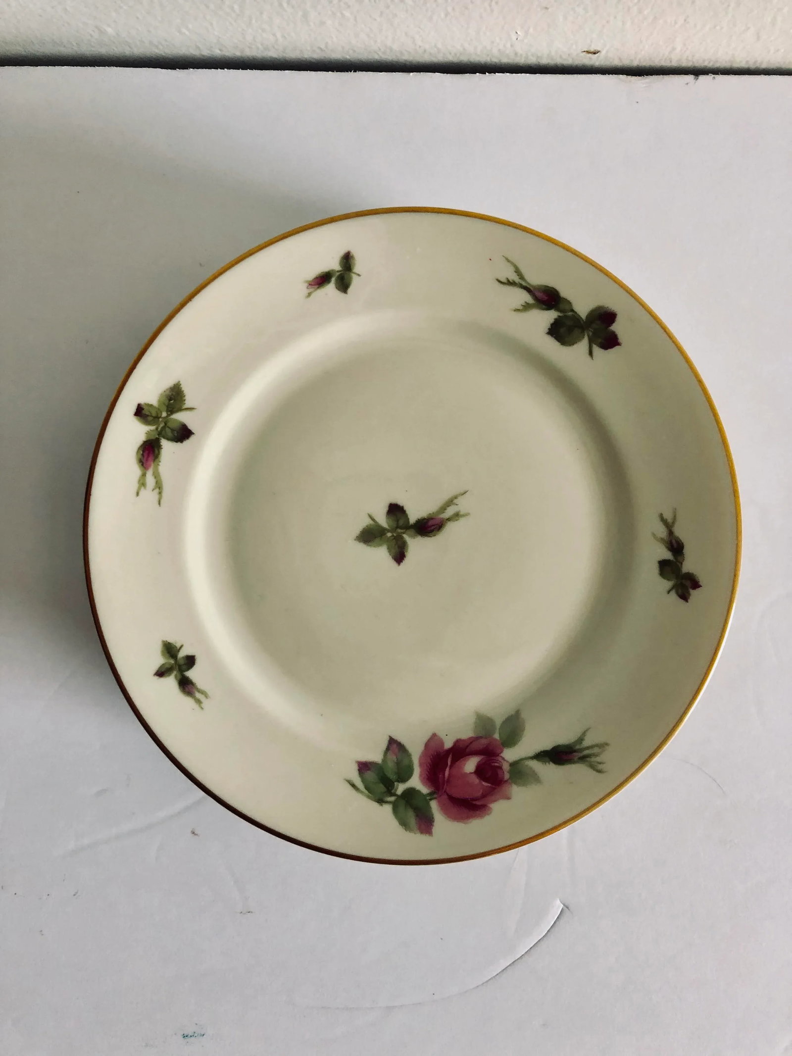 Vintage Floral Rosenthal "Aida" Set of 7 Bread Plates - 2