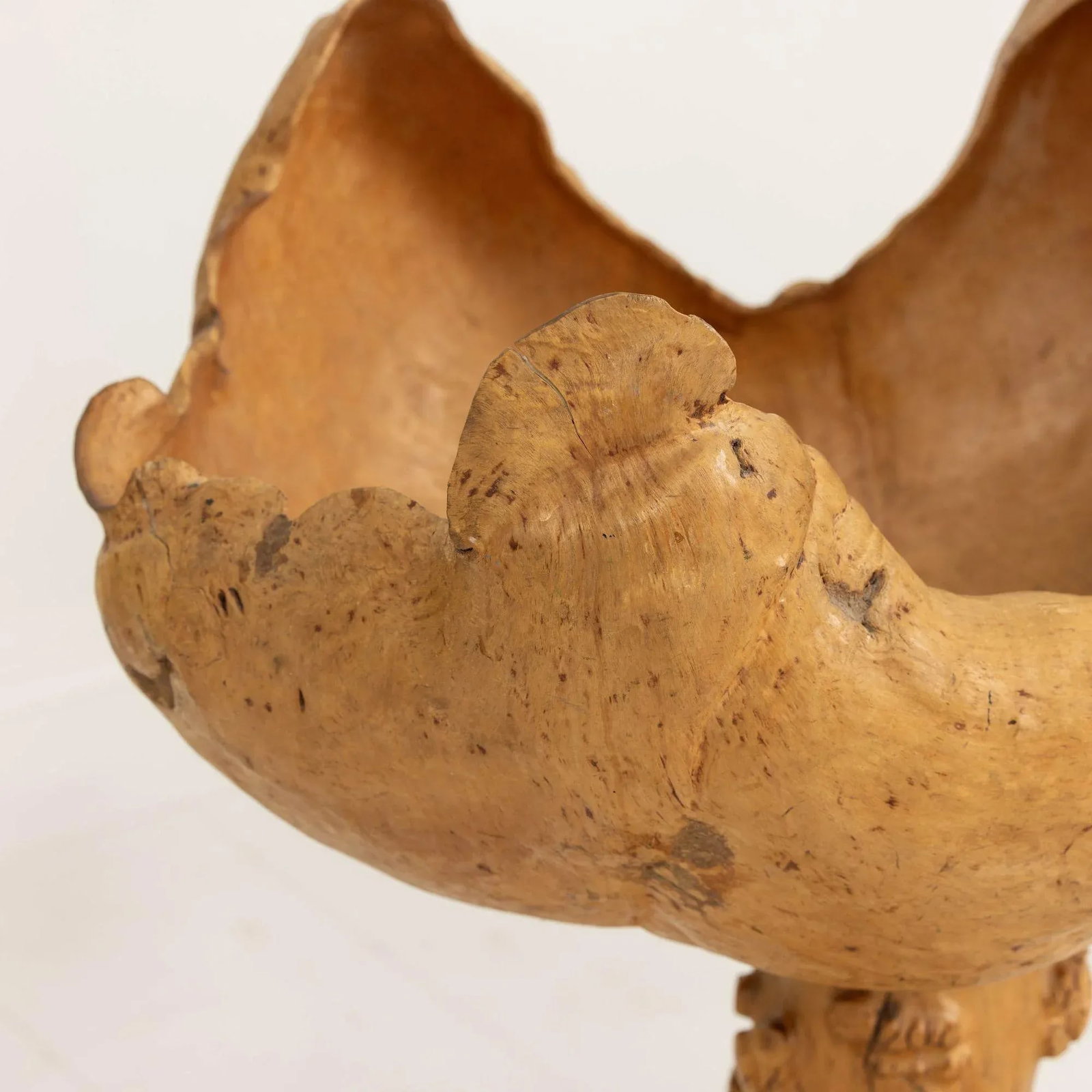 Mid 20th Century Large Swedish Birch and Pine Root Bowl Tazza on Base - 10
