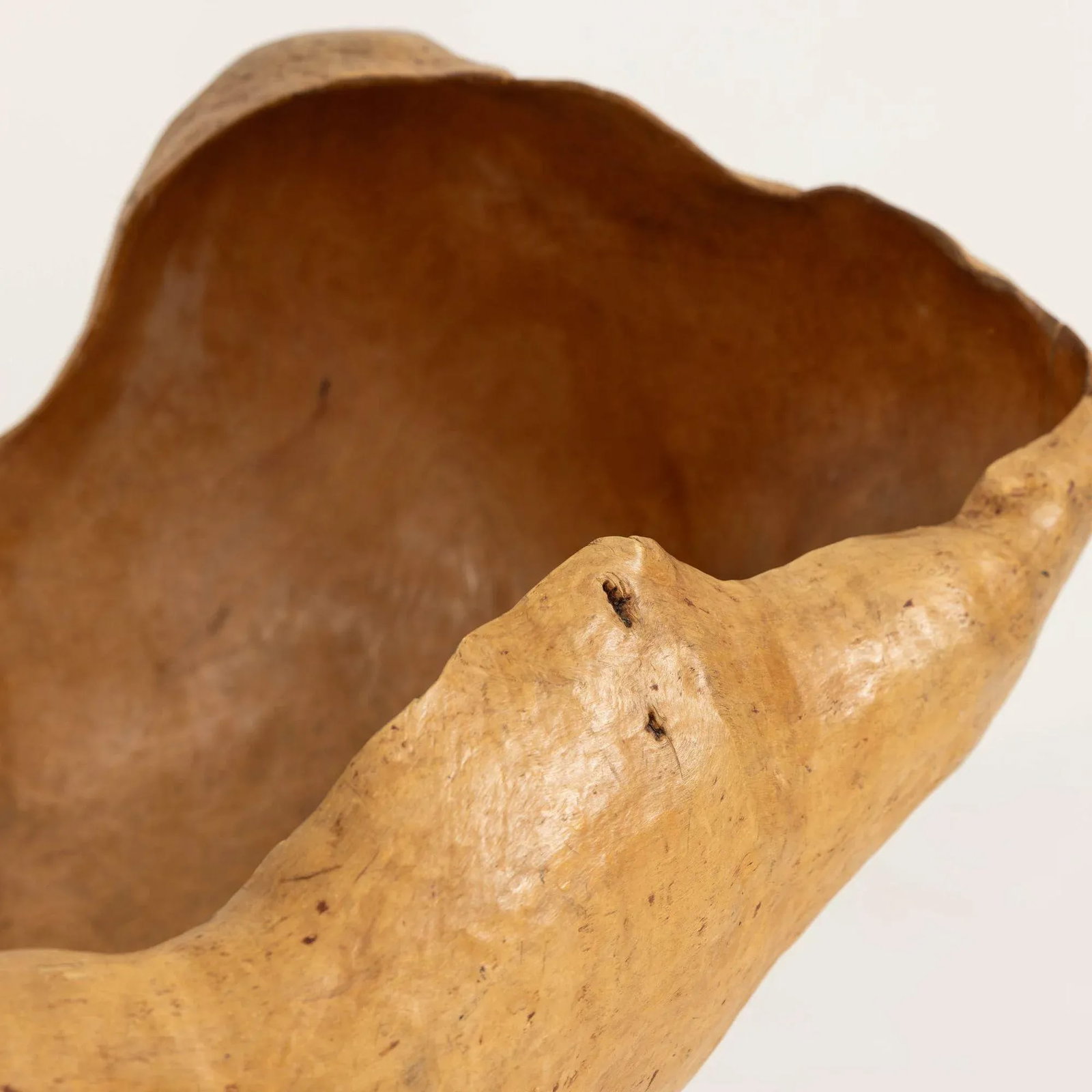 Mid 20th Century Large Swedish Birch and Pine Root Bowl Tazza on Base - 11