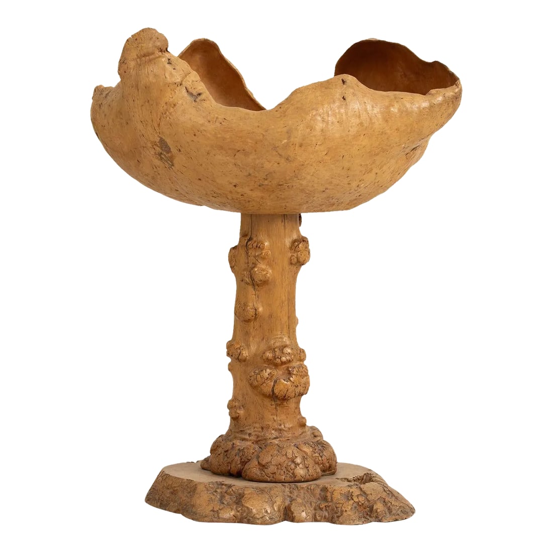 Mid 20th Century Large Swedish Birch and Pine Root Bowl Tazza on Base: A large mid 20th century birch and pine root bowl on a base from northern Sweden, c. 1950. A highly decorative and sculptural piece. Condition: Alterations: Original Condition Unaltered