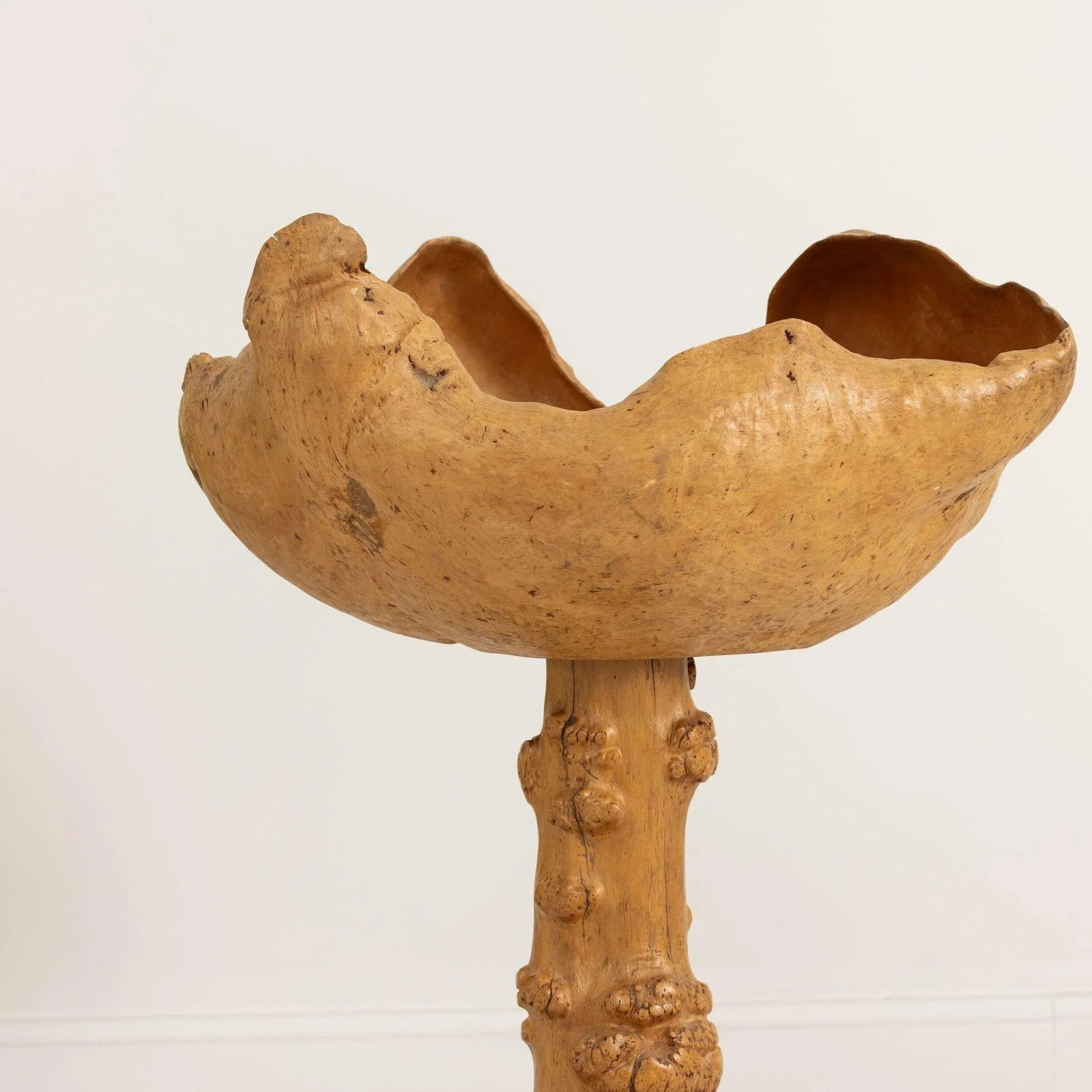 Mid 20th Century Large Swedish Birch and Pine Root Bowl Tazza on Base - 3