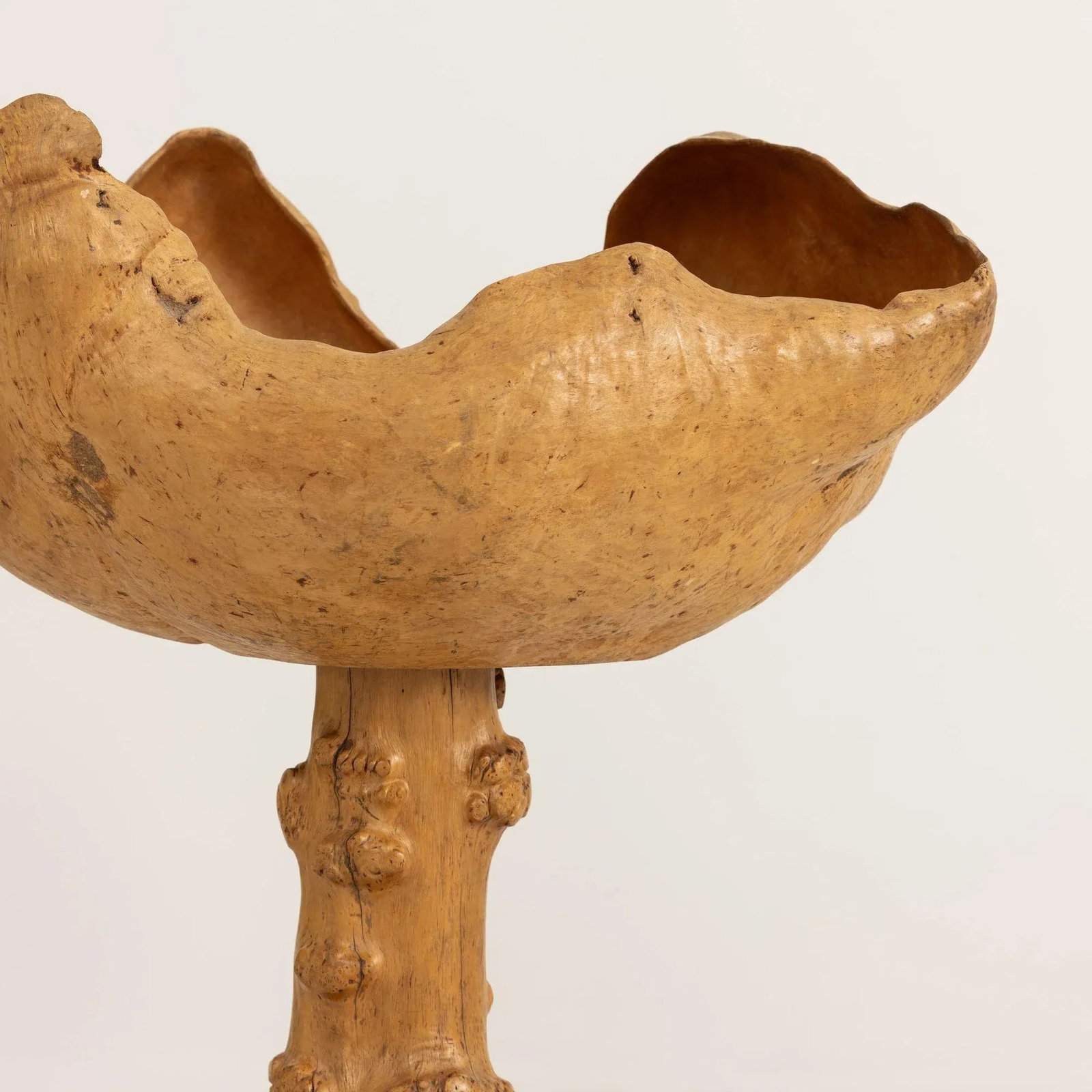 Mid 20th Century Large Swedish Birch and Pine Root Bowl Tazza on Base - 5
