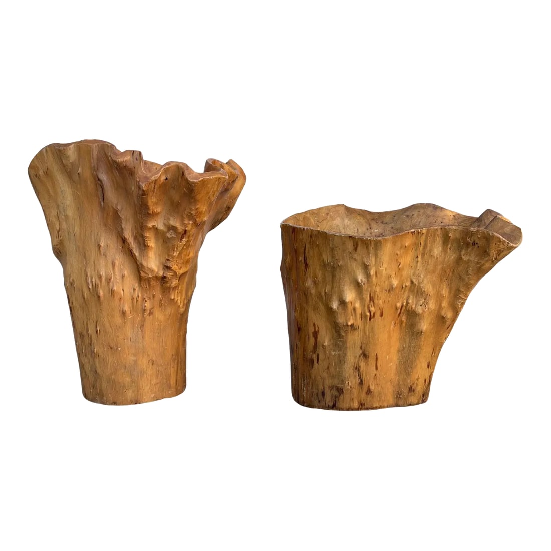 Hand-Carved Tree Live Edge Burlwood Planters - Set of 2: Set of 2 planters in differing heights, each with unique shapes, made of tree root with organic texture - dimples, divets and curves. Live top edges. Holds ferns beautifully because of how their