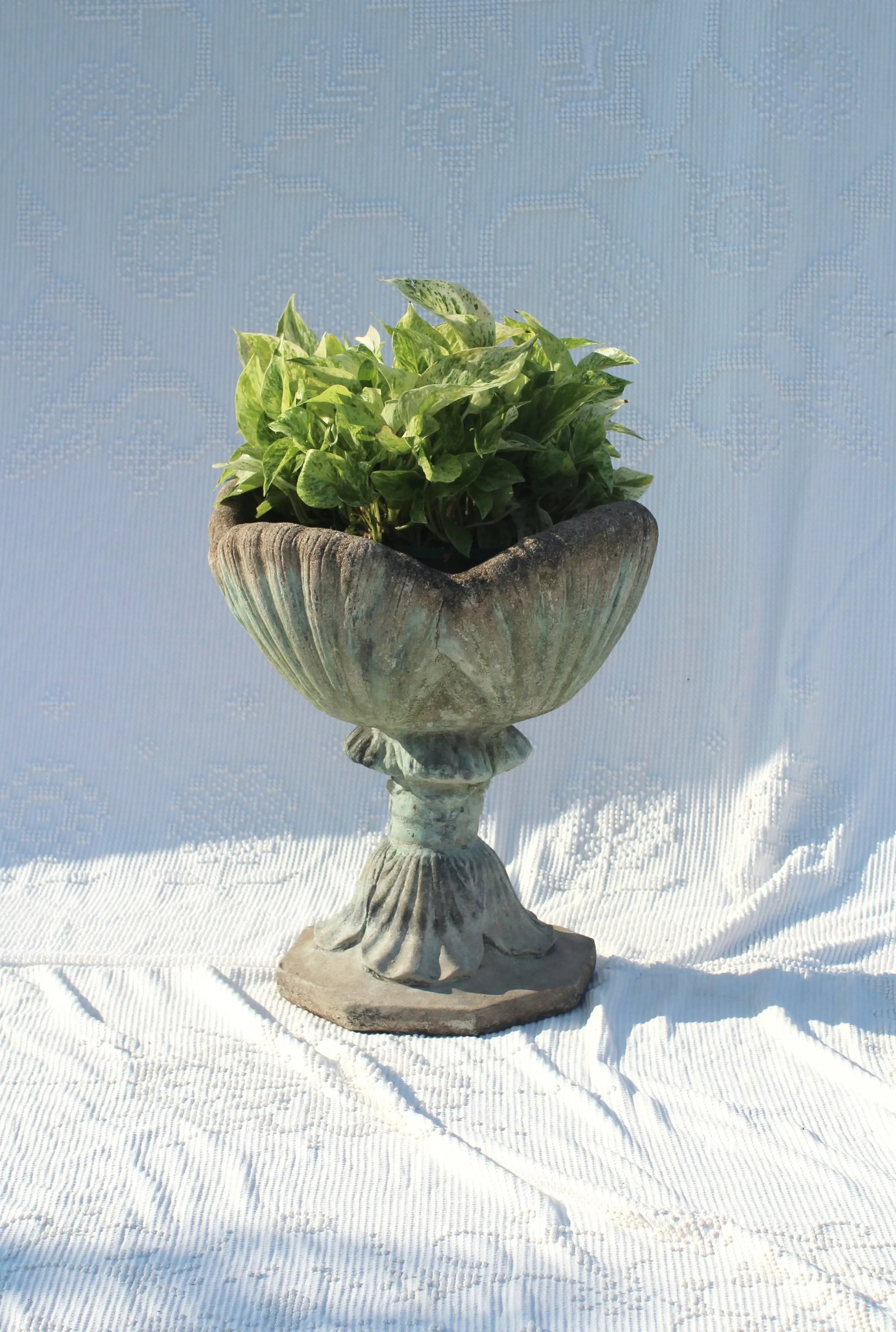 Mid 20th Century Seashell Concrete Planter - 2