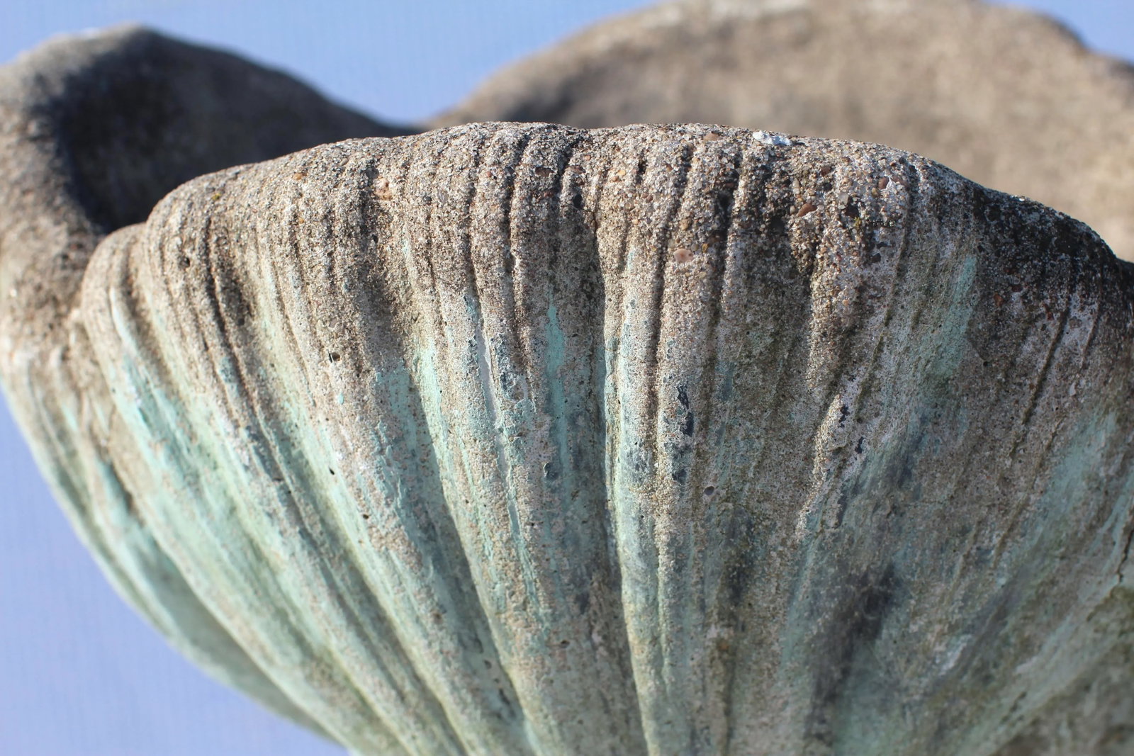 Mid 20th Century Seashell Concrete Planter - 6