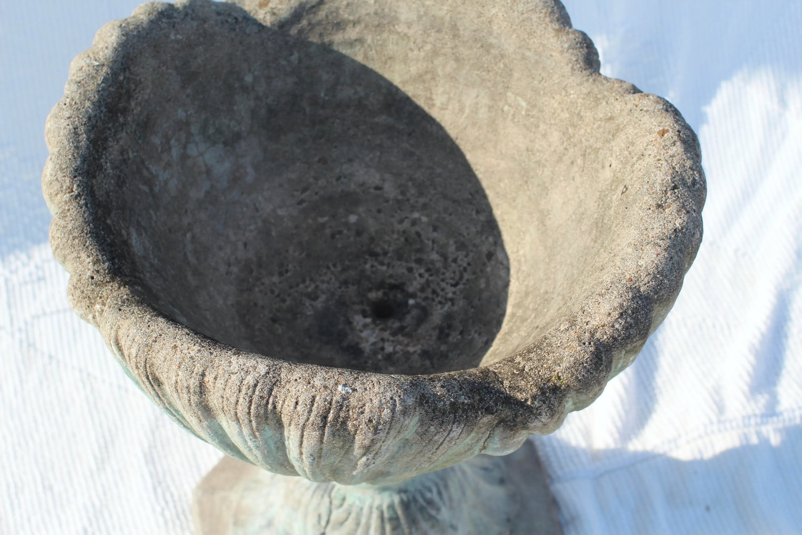 Mid 20th Century Seashell Concrete Planter - 8