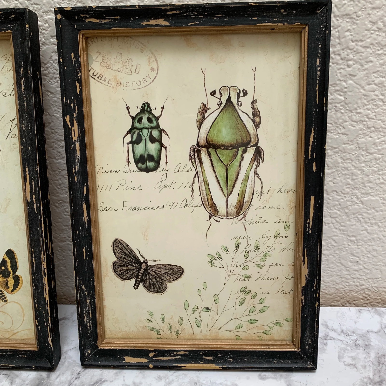 Rustic Framed Bug & Butterfly Wall Decor Prints, Set of Two - 2