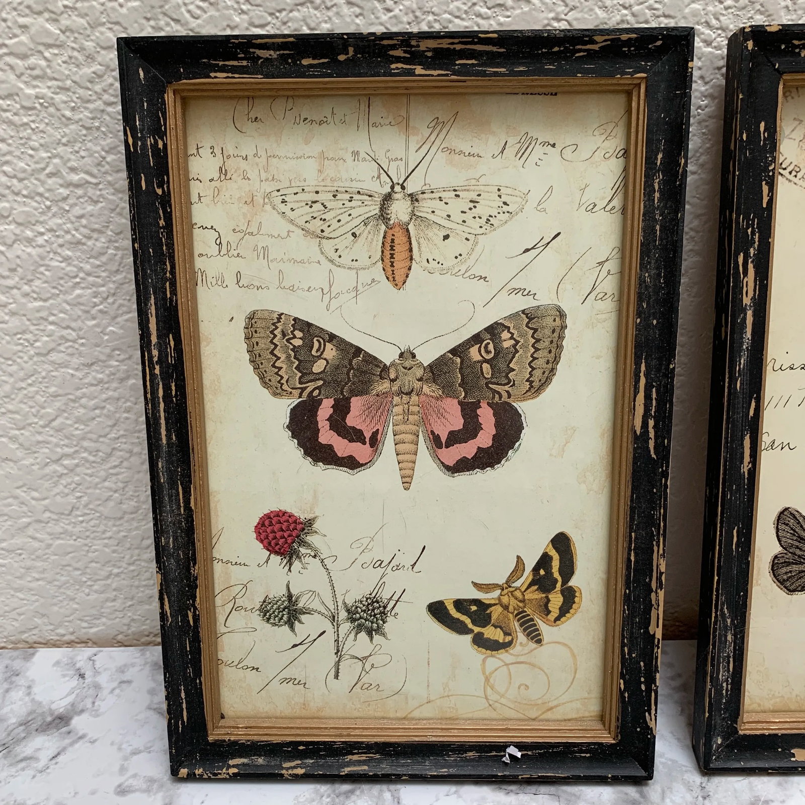 Rustic Framed Bug & Butterfly Wall Decor Prints, Set of Two - 3