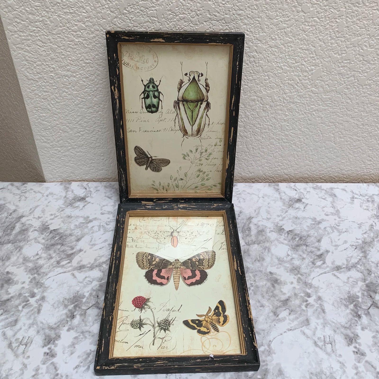 Rustic Framed Bug & Butterfly Wall Decor Prints, Set of Two - 7