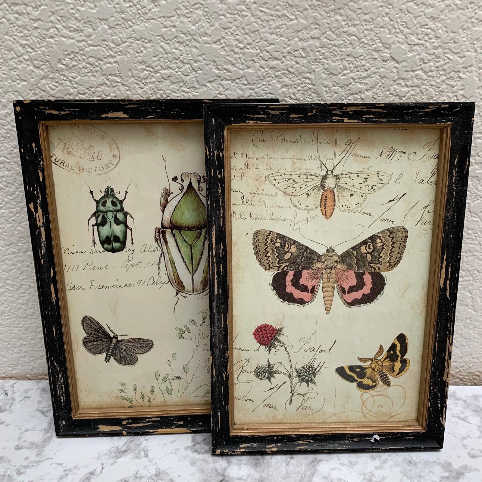 Rustic Framed Bug & Butterfly Wall Decor Prints, Set of Two - 8