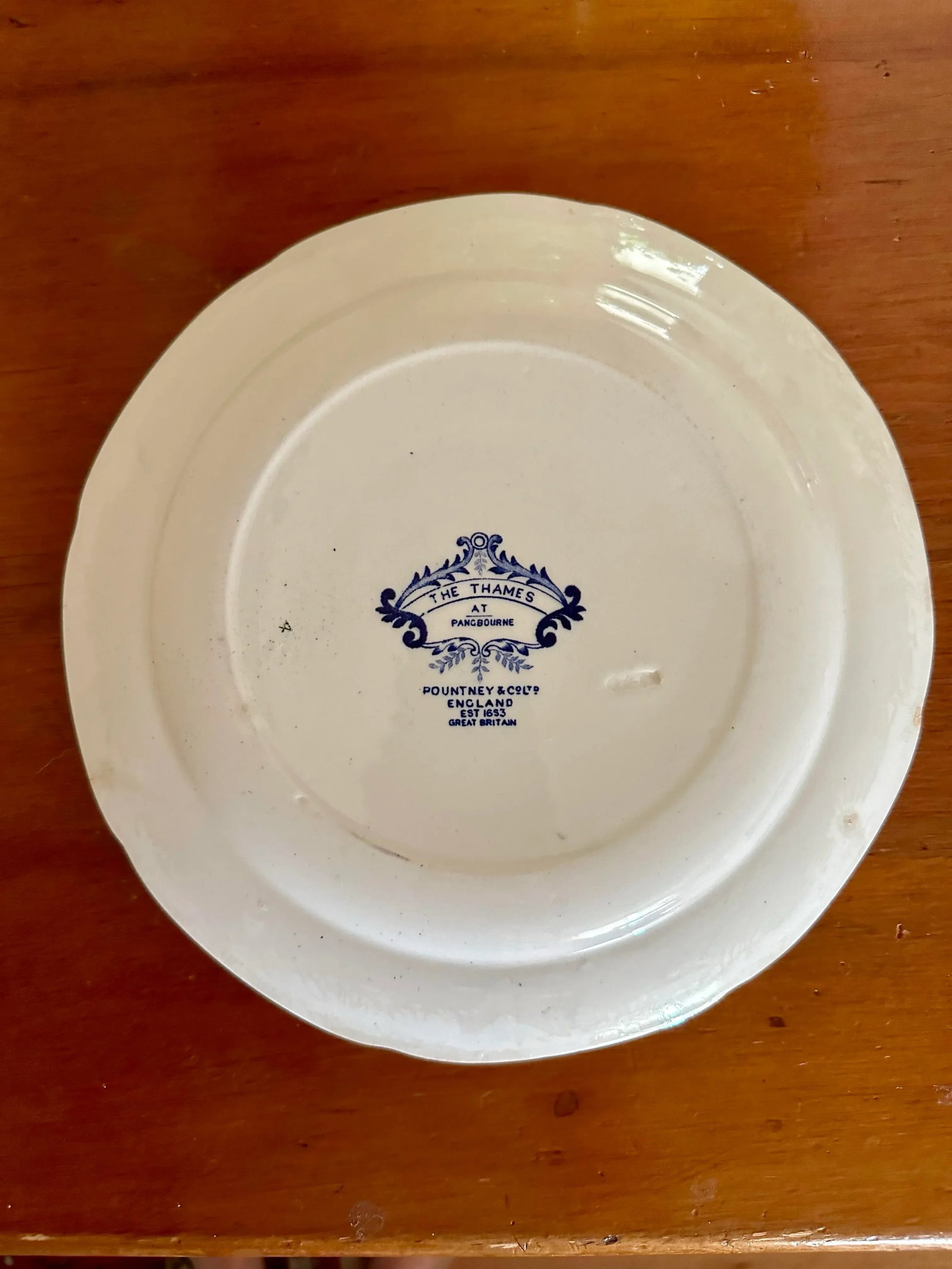 Vintage Pountney & Co the Thames at Pangbourne Blue White Plate - 3