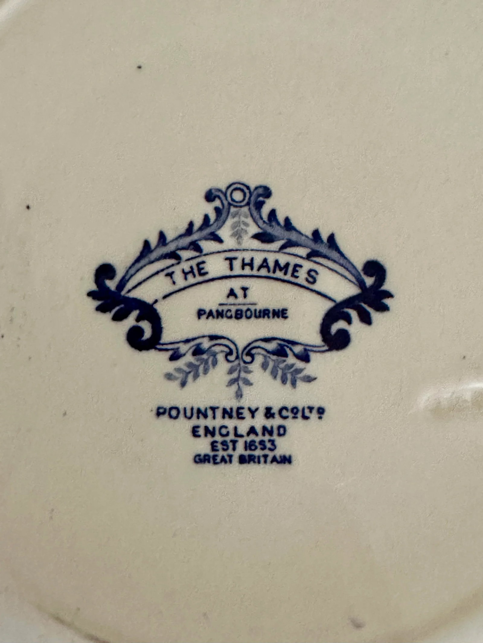 Vintage Pountney & Co the Thames at Pangbourne Blue White Plate - 4