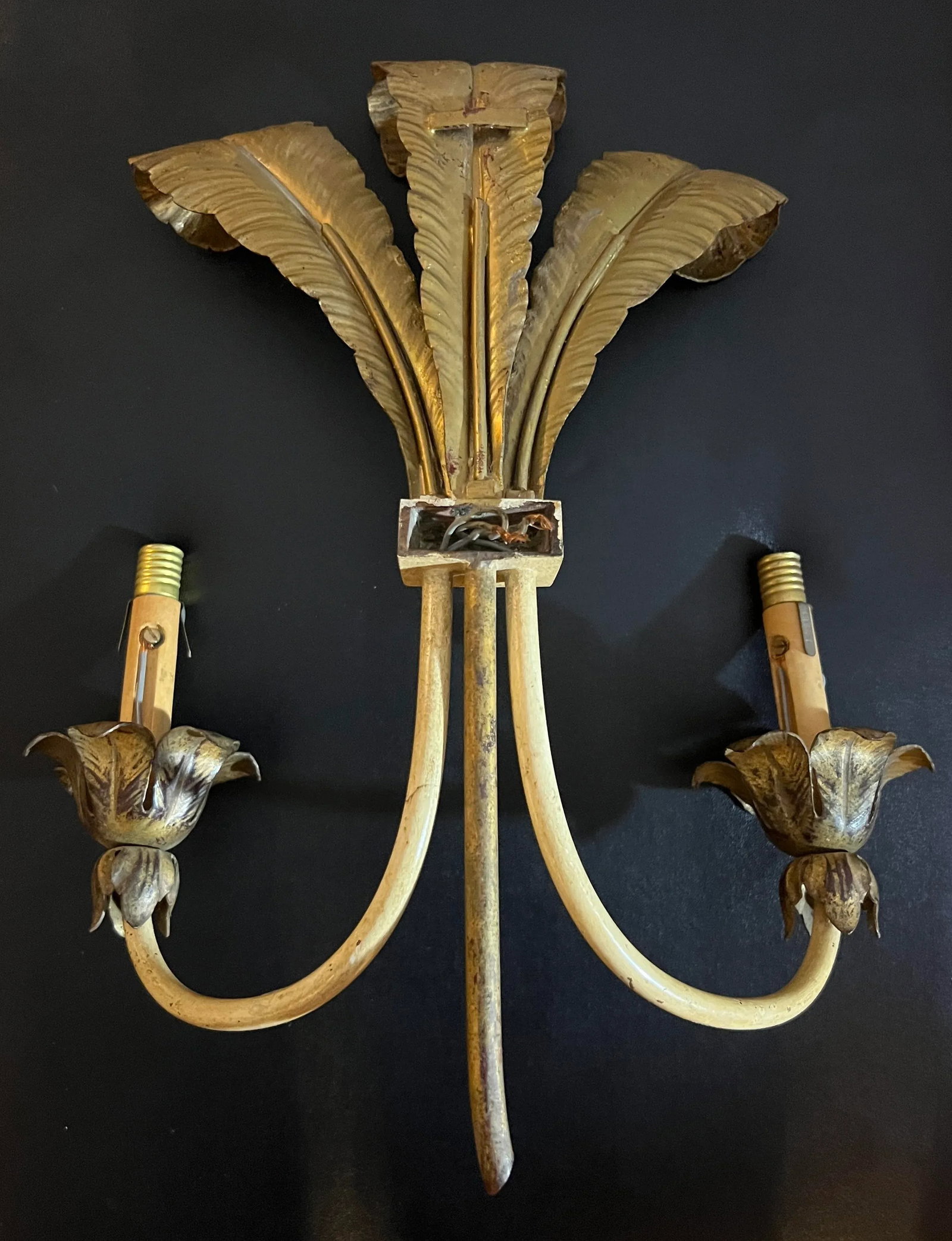 Pair, French Feather Gilt Bronze Wall Sconces, Circa 1950's - 4